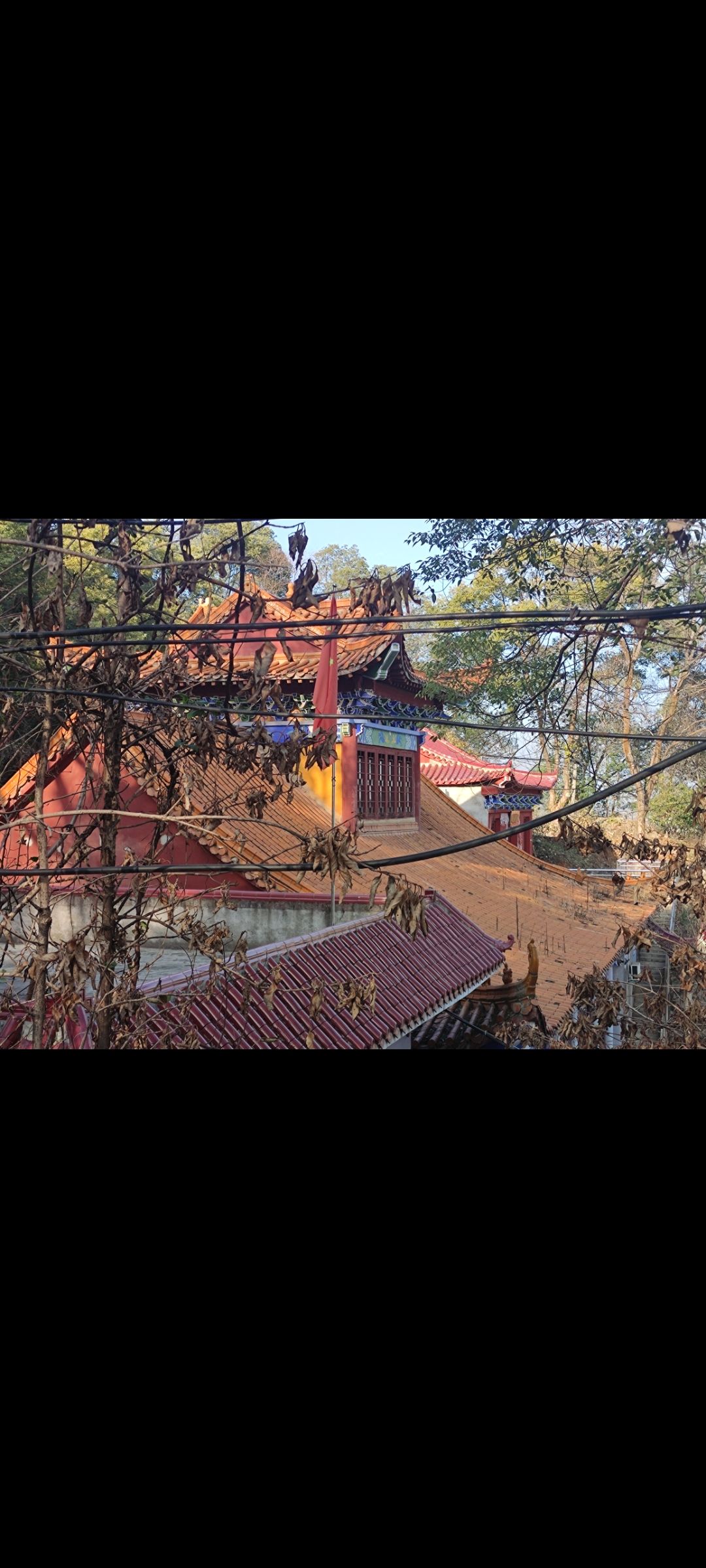 老崖山公园