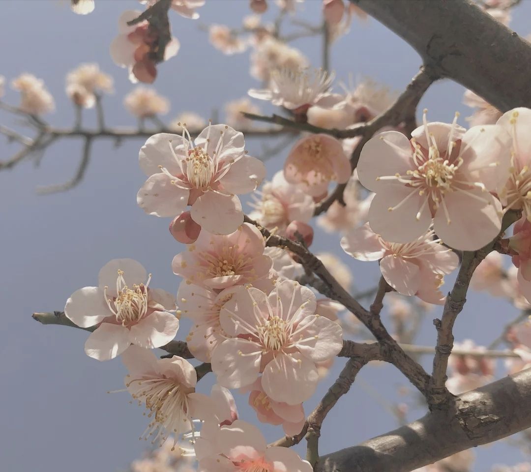 蜀冈生态体育公园