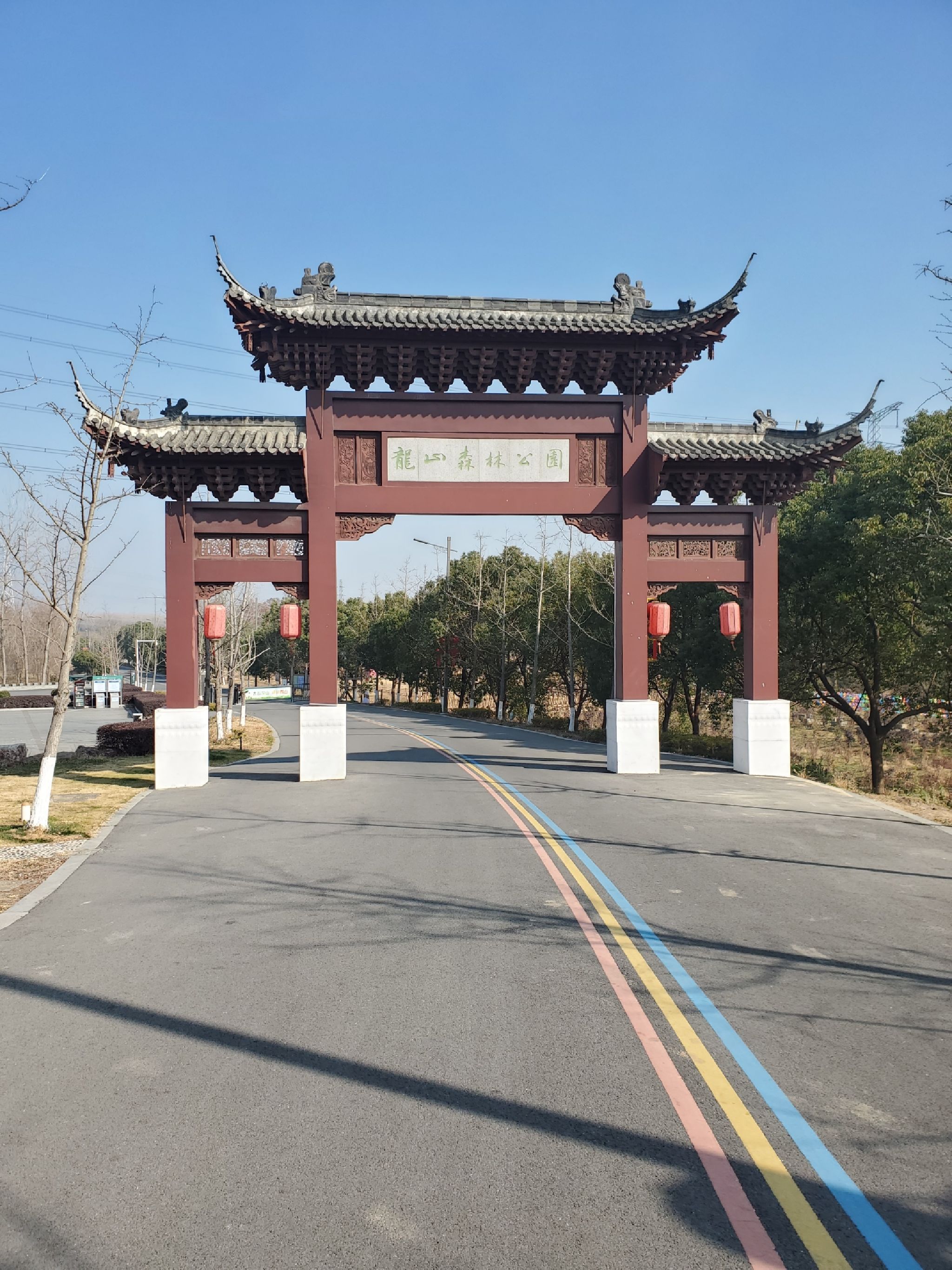 龙山森林公园旅行图片