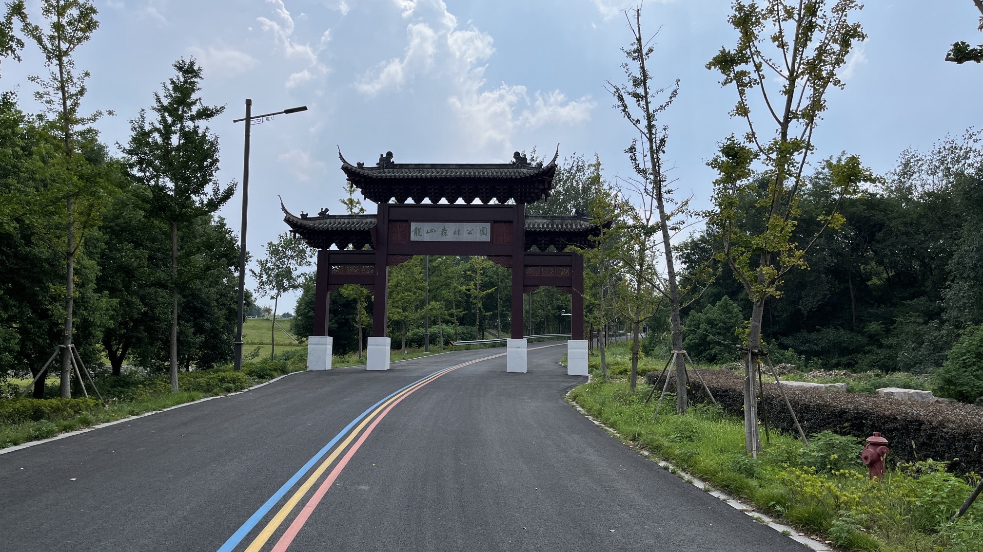 龙山森林公园旅行图片
