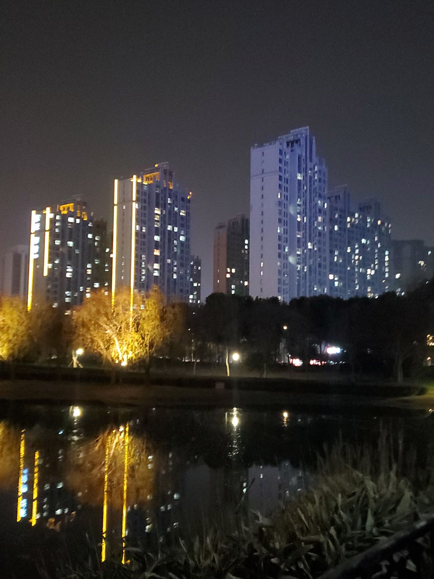 东园