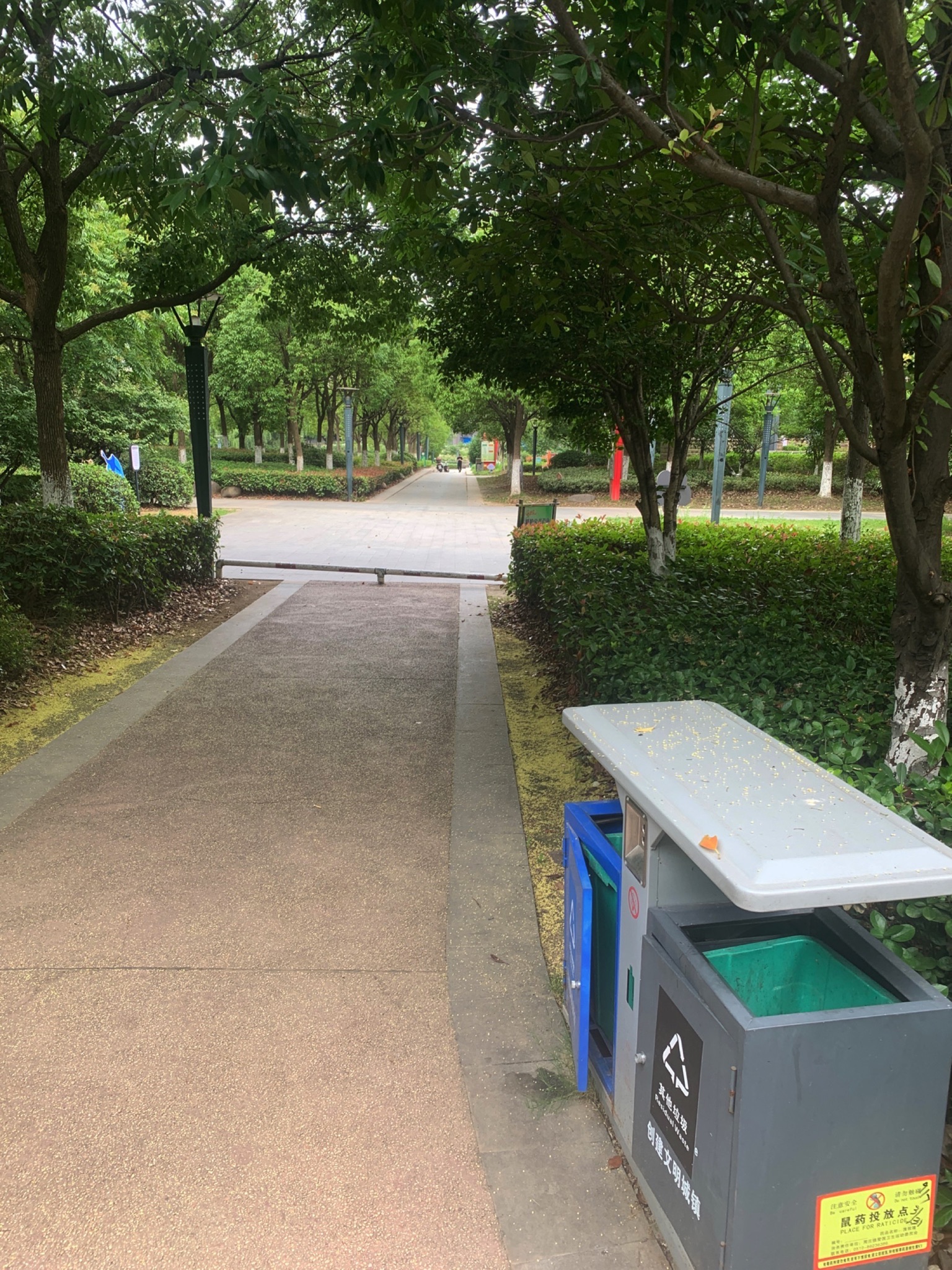 港东公园旅行图片