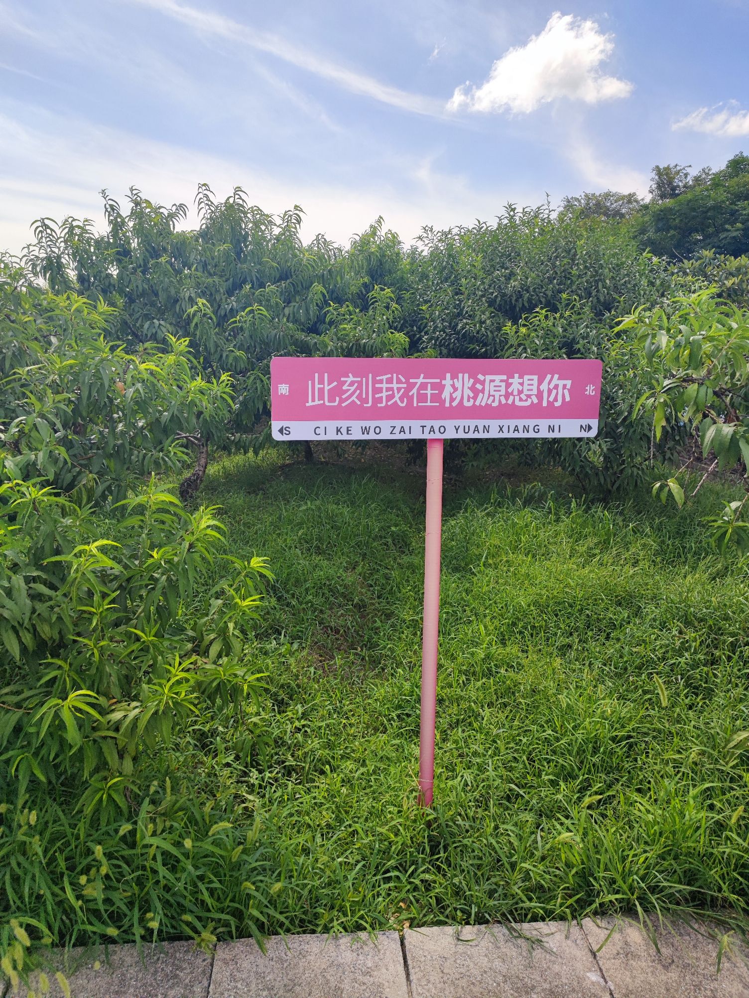 上海吕巷水果公园旅行图片