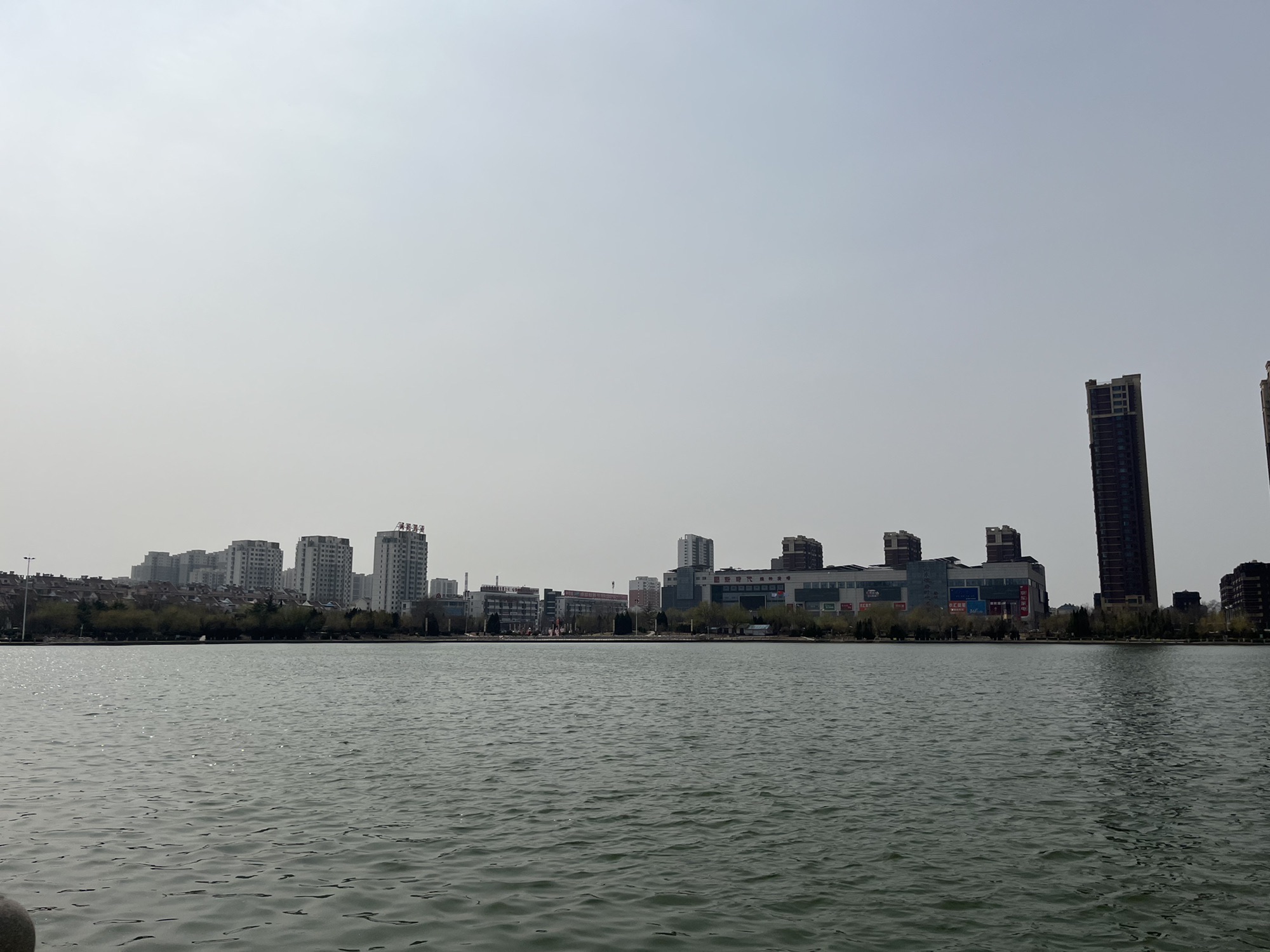 糖城新湖公园旅行图片