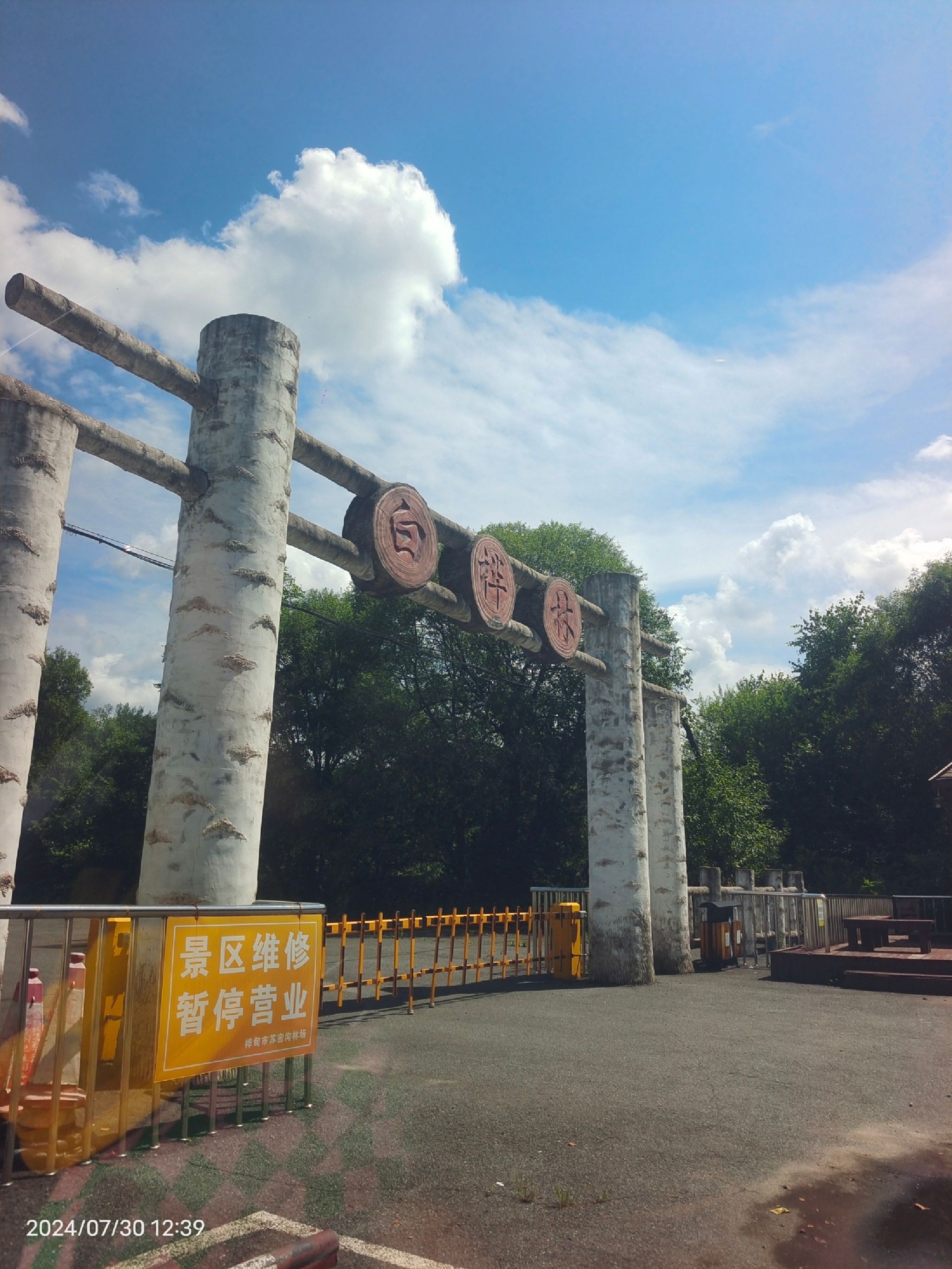 白桦园林风景区