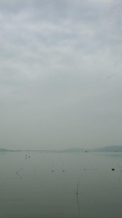 竺山湖湿地