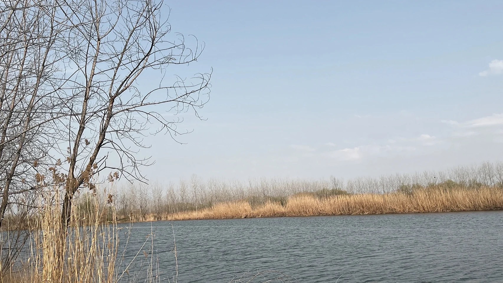 绿水湾湿地公园