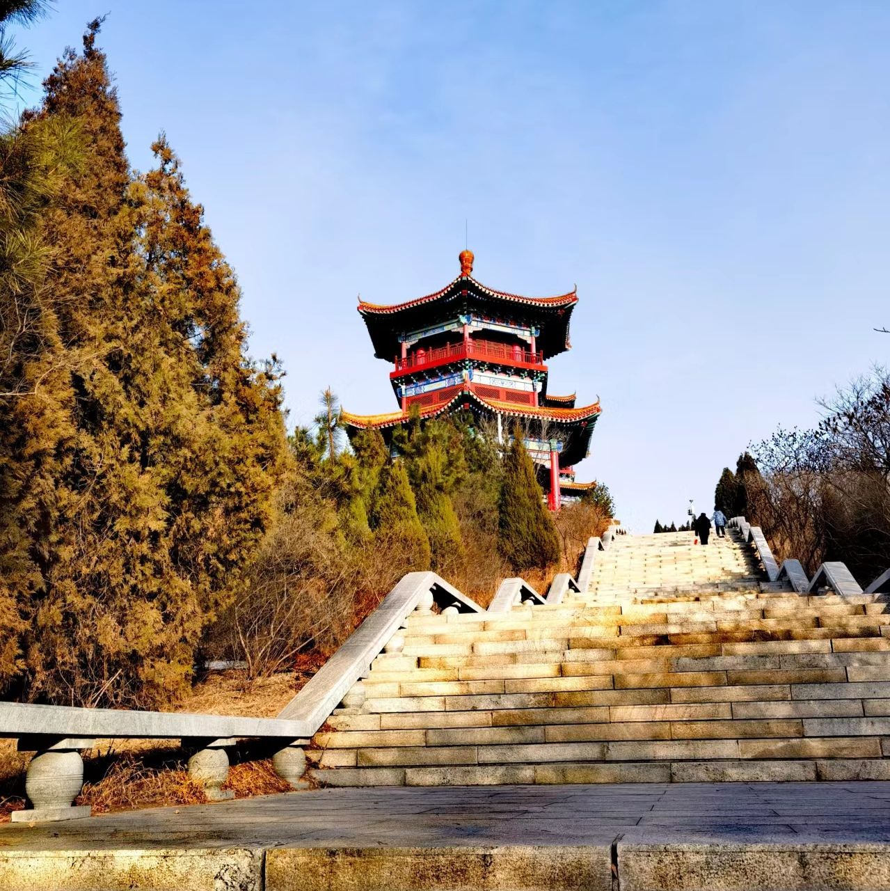 金凤阁