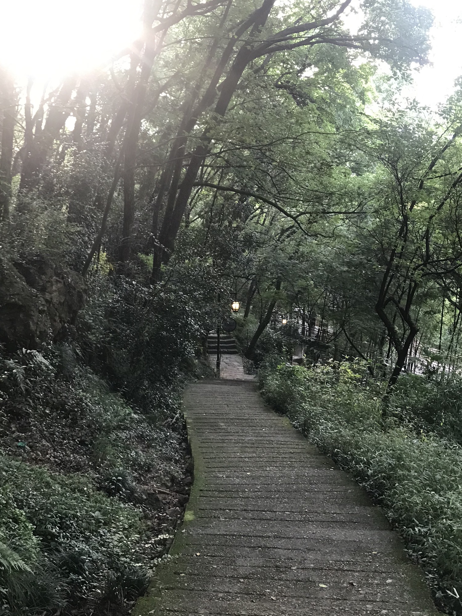 虎山公园