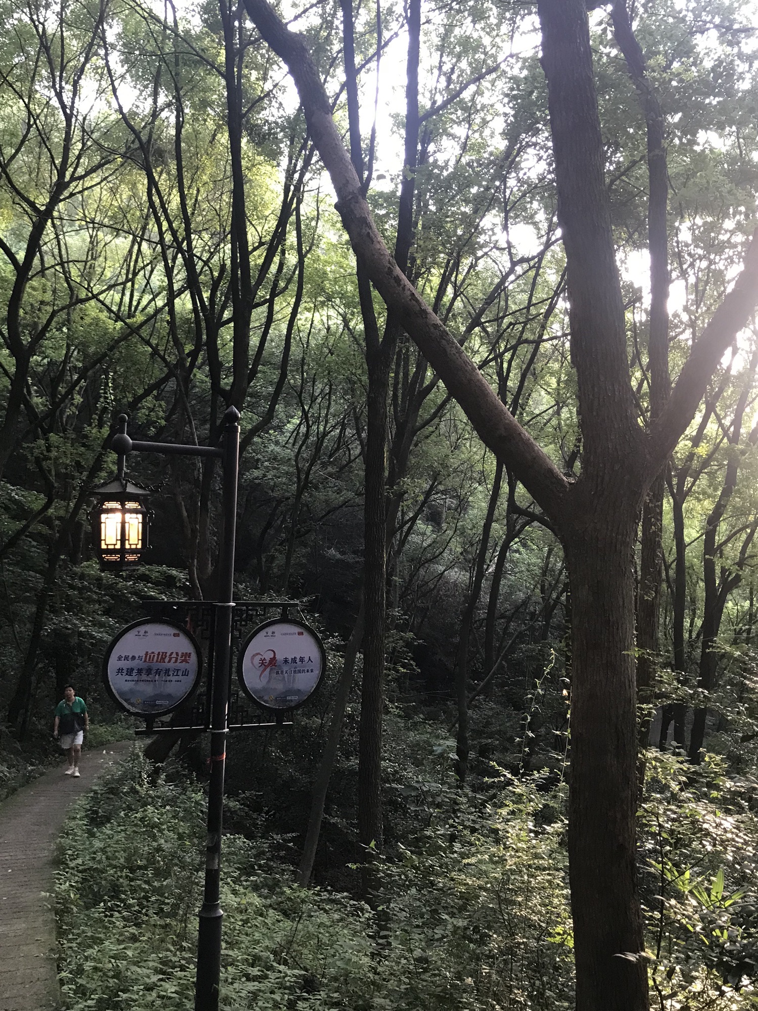 虎山公园旅行图片