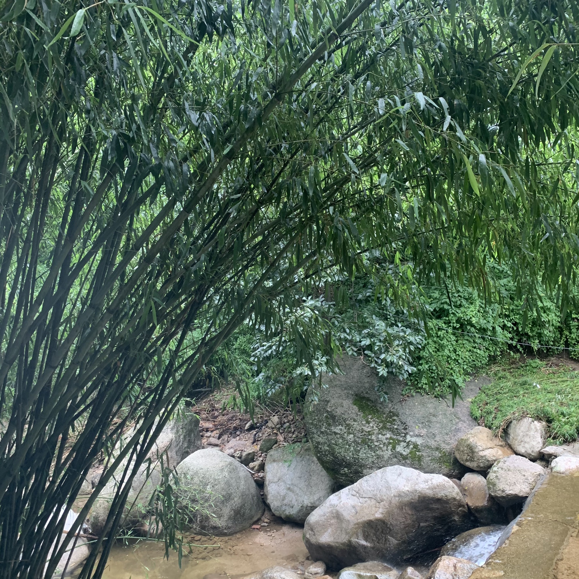 伊河源风景区
