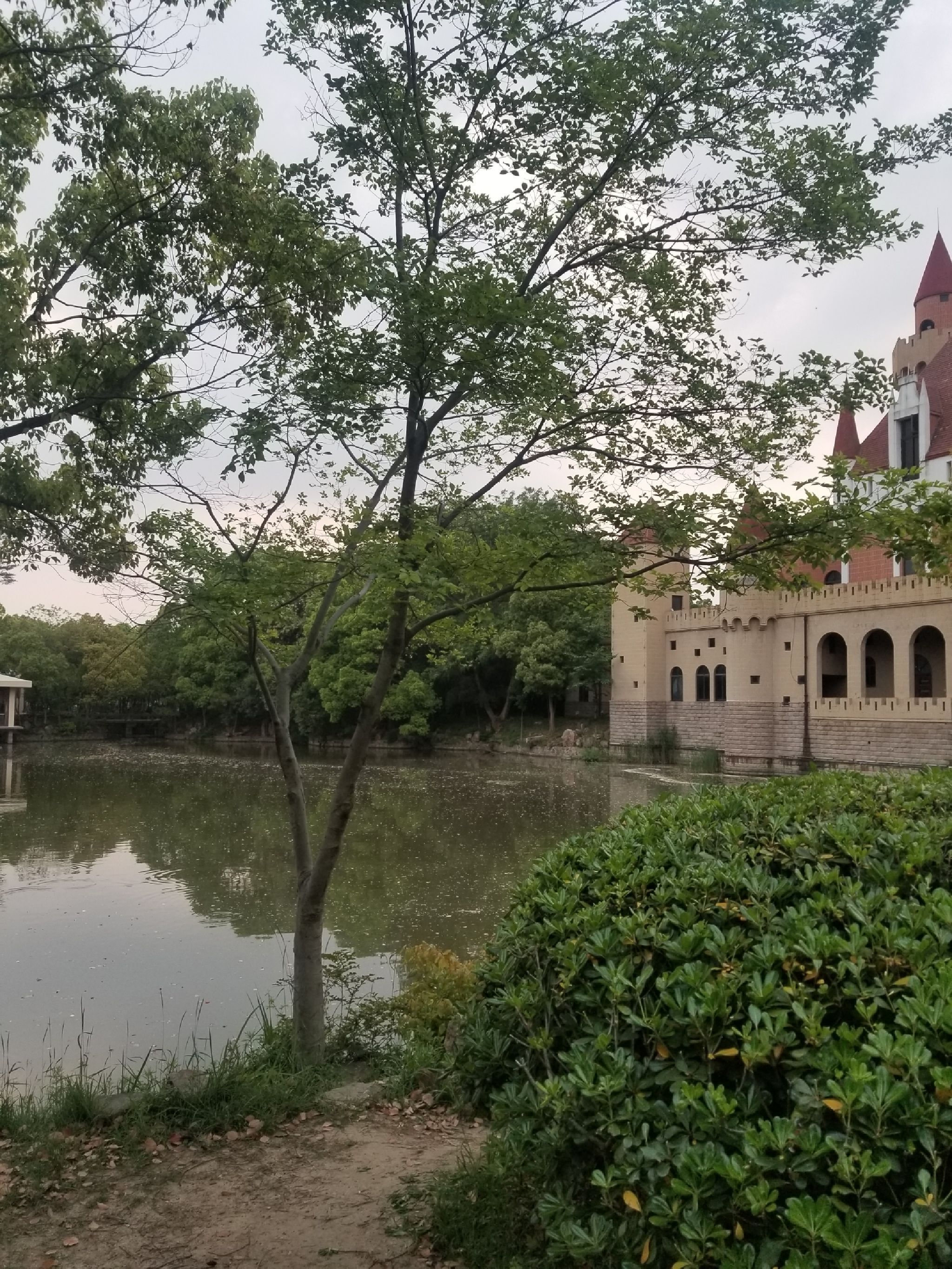 白沙公园旅行图片