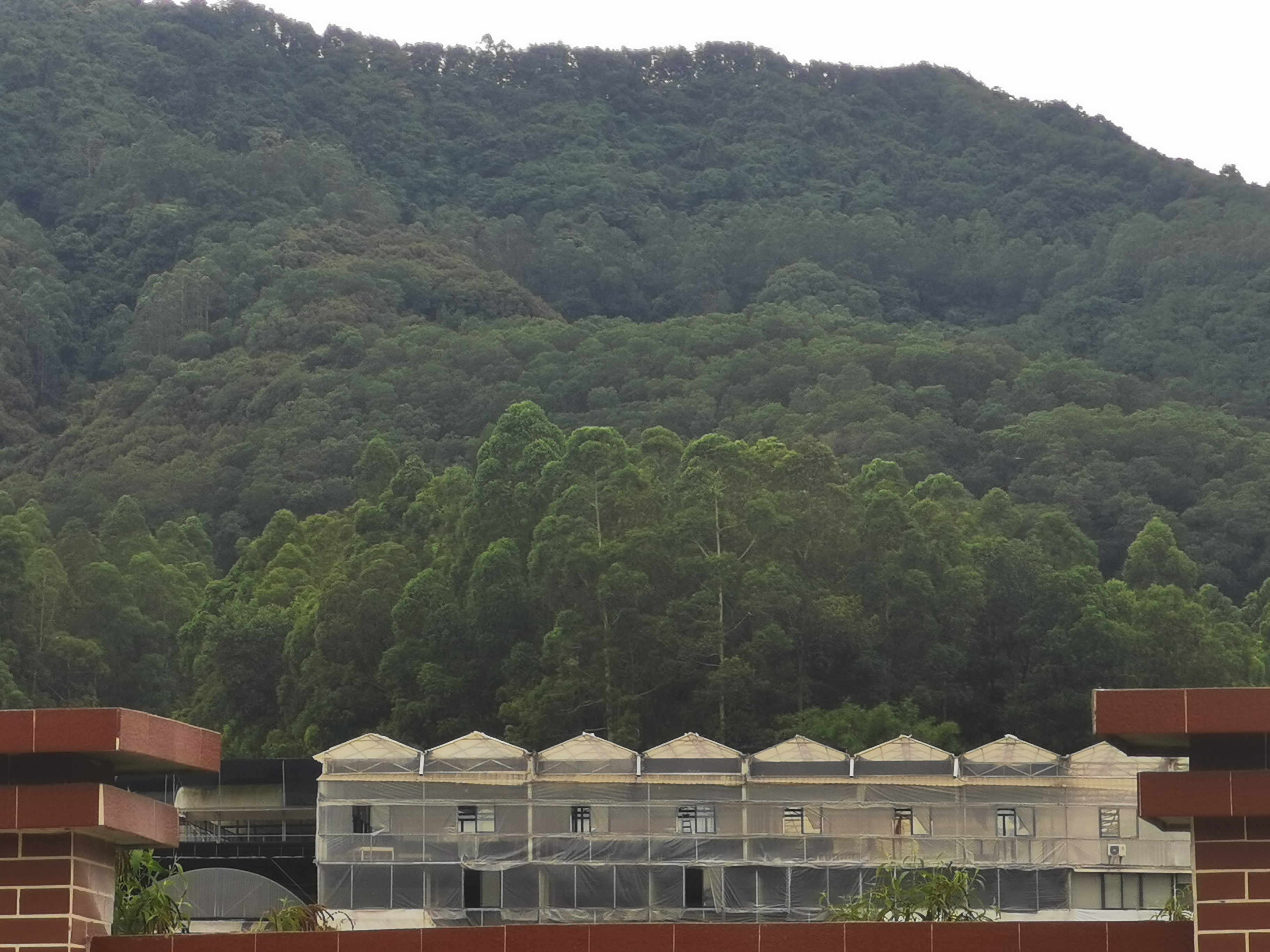 广州兰花文化园