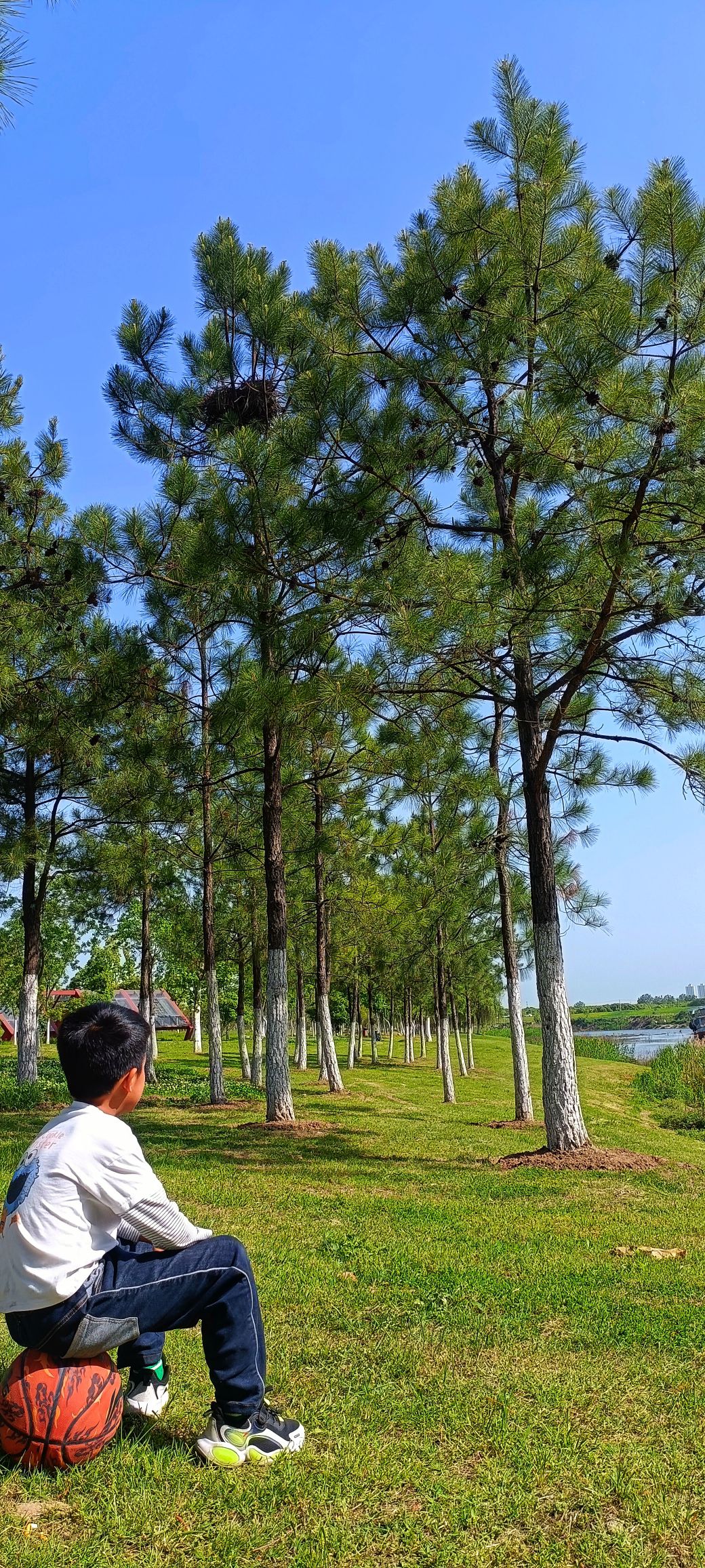 瑶海区滨河公园