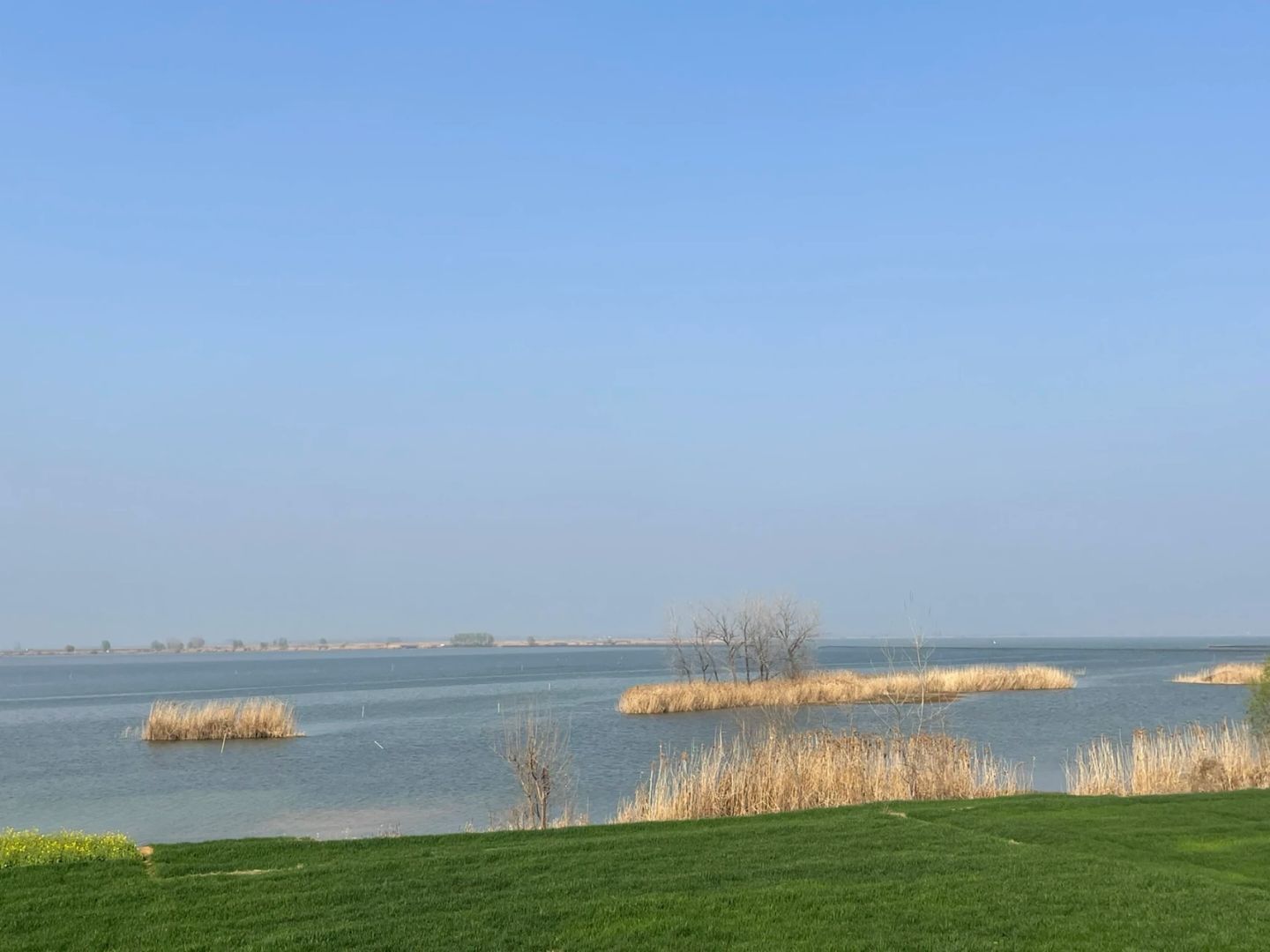 五河县沱湖湿地风景区旅行图片