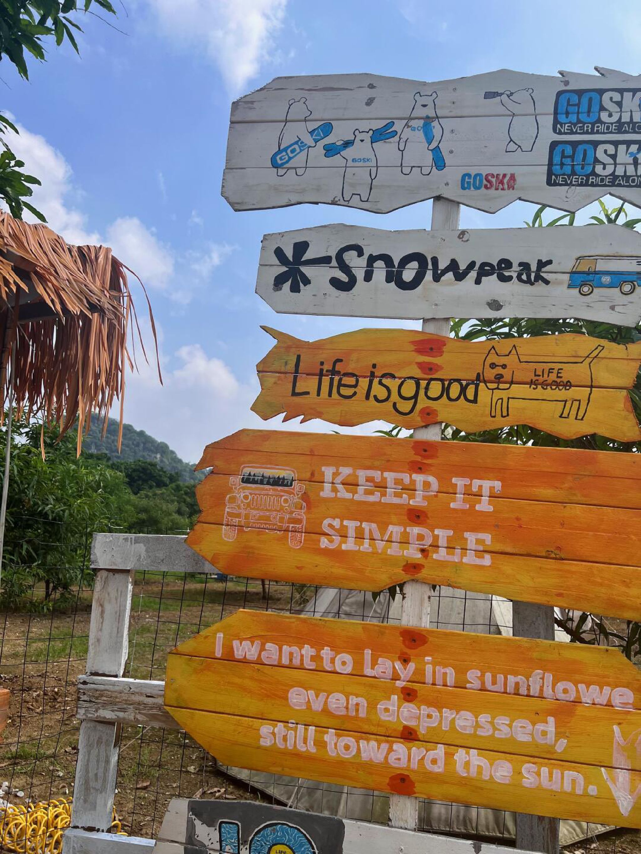 千亩湖旅行图片