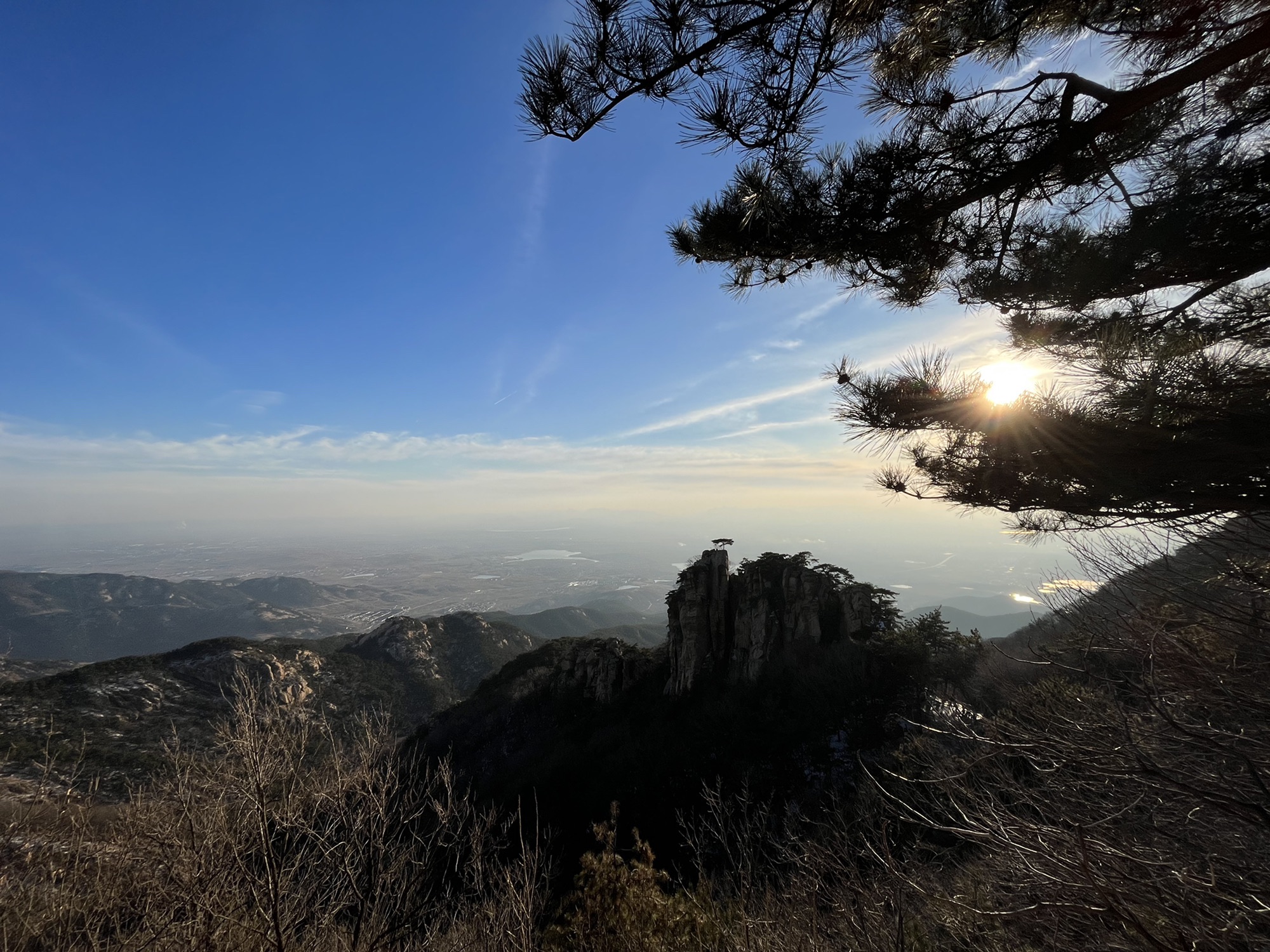 蒙山寿星