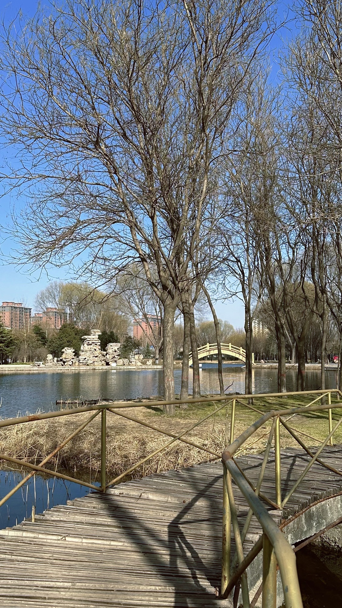 兴和园
