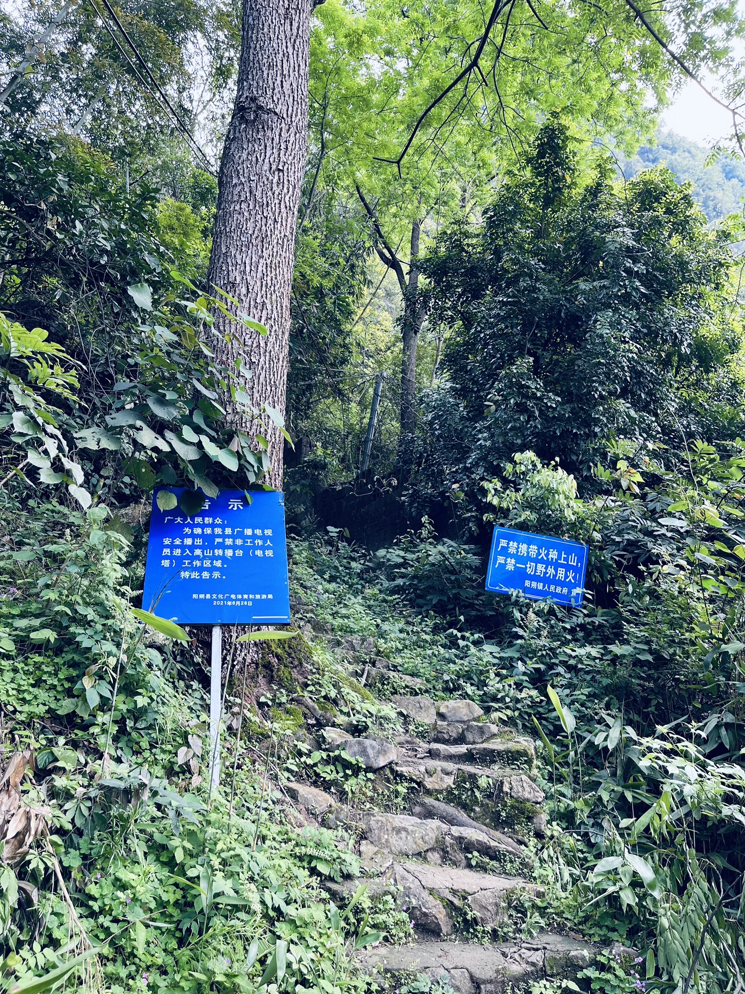 阳朔电视塔旅行图片
