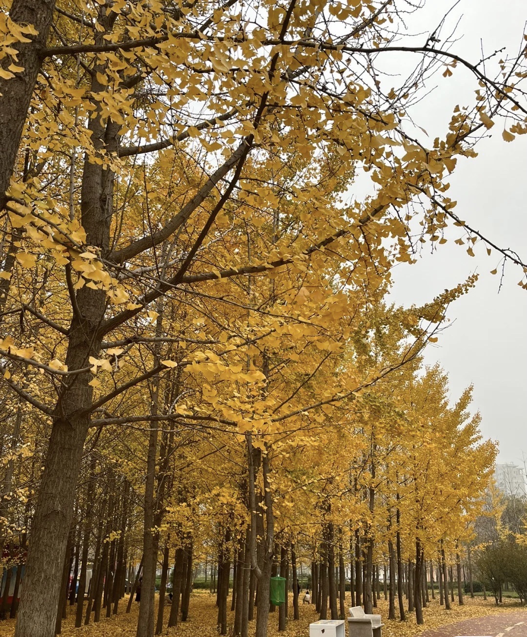 开发区人民广场
