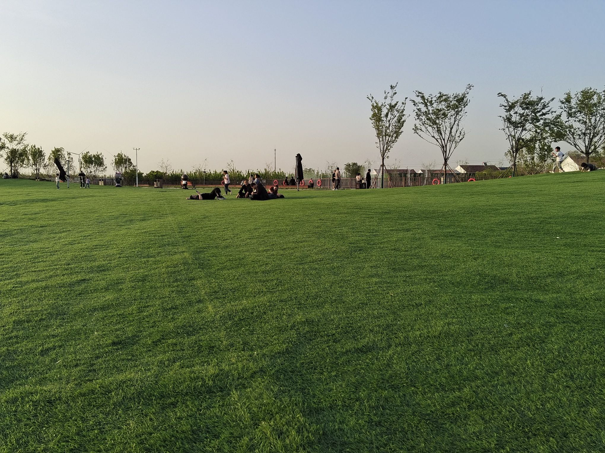 阳信万亩梨园旅行图片