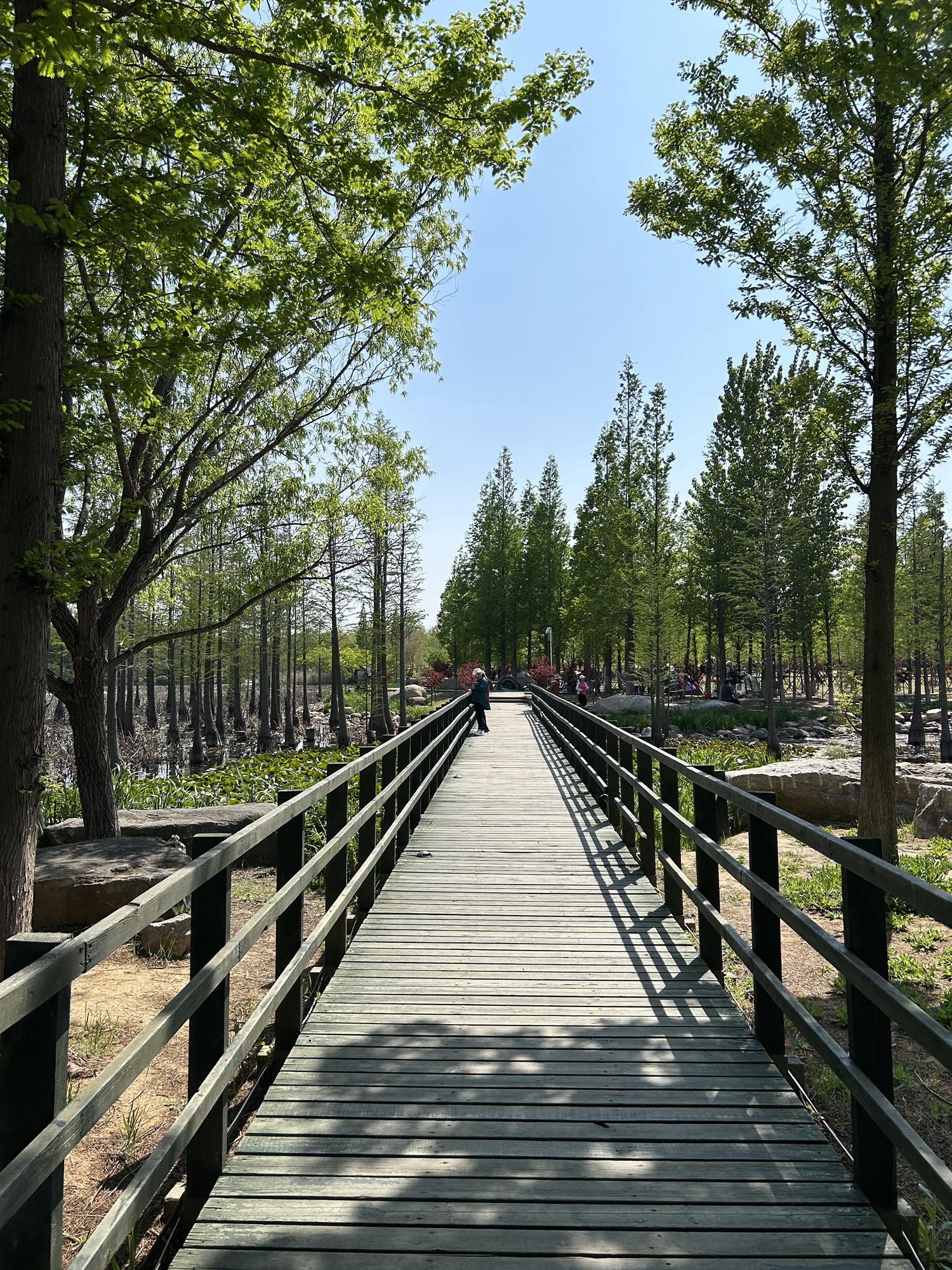 鱼鸟河公园