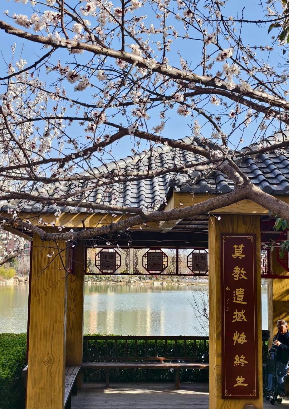 天逸公园旅行图片