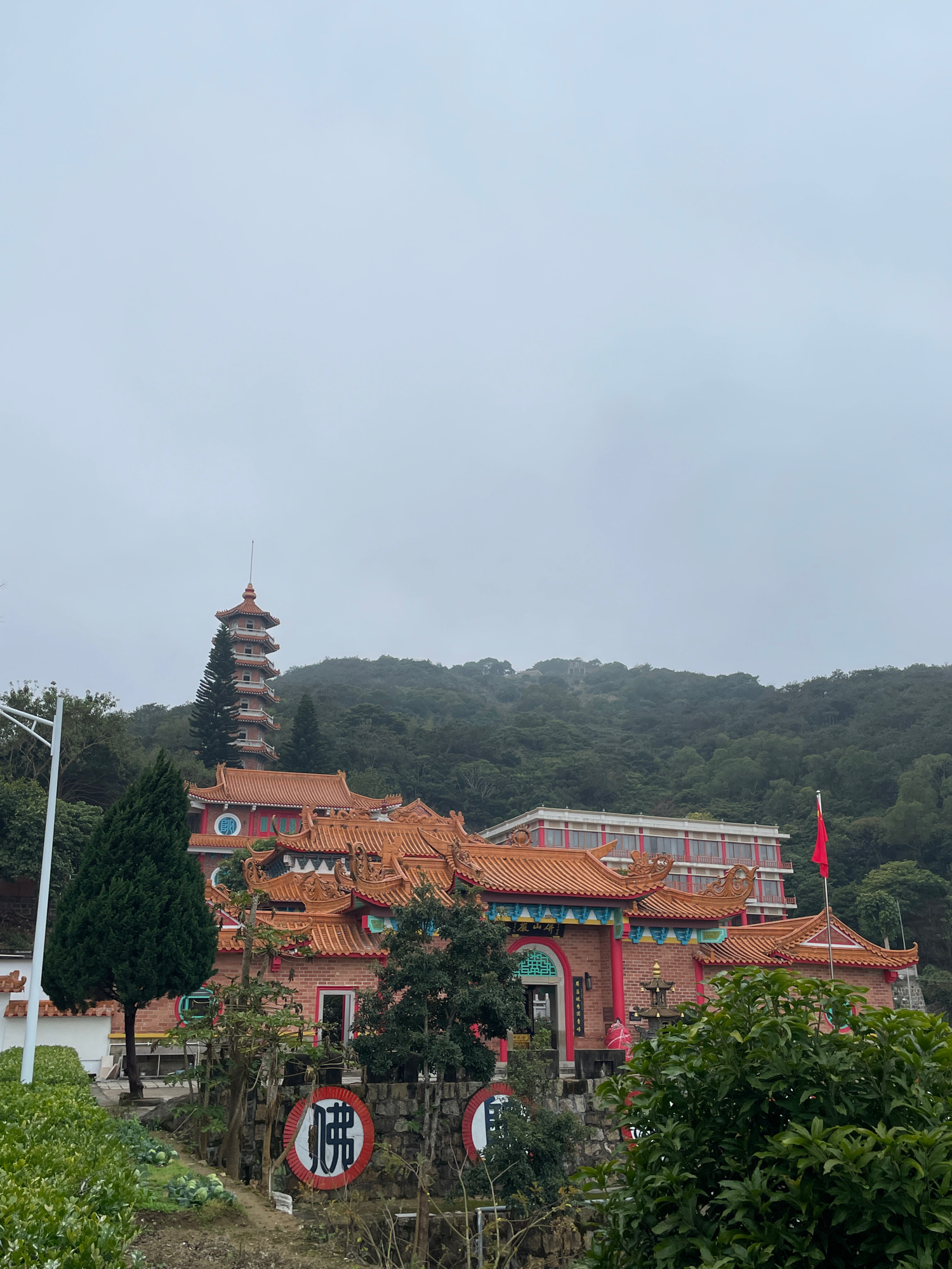 金针宝塔