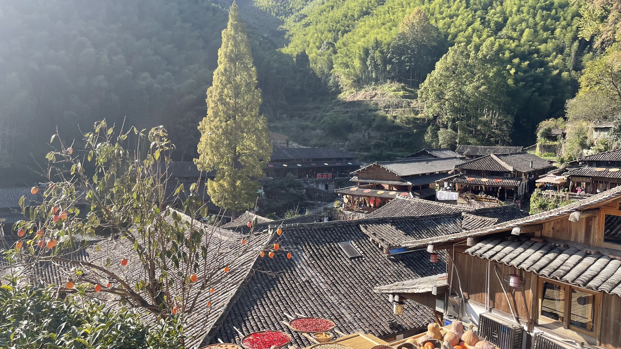 暨家寨暨驿人家