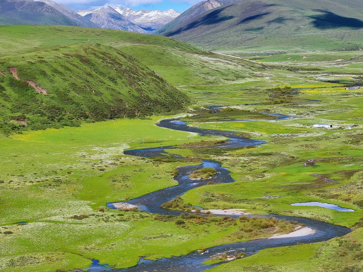 俄么塘·花海景区(暂停开放)旅行图片