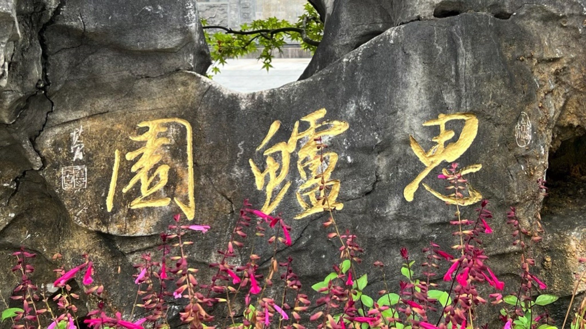 思鲈园旅行图片