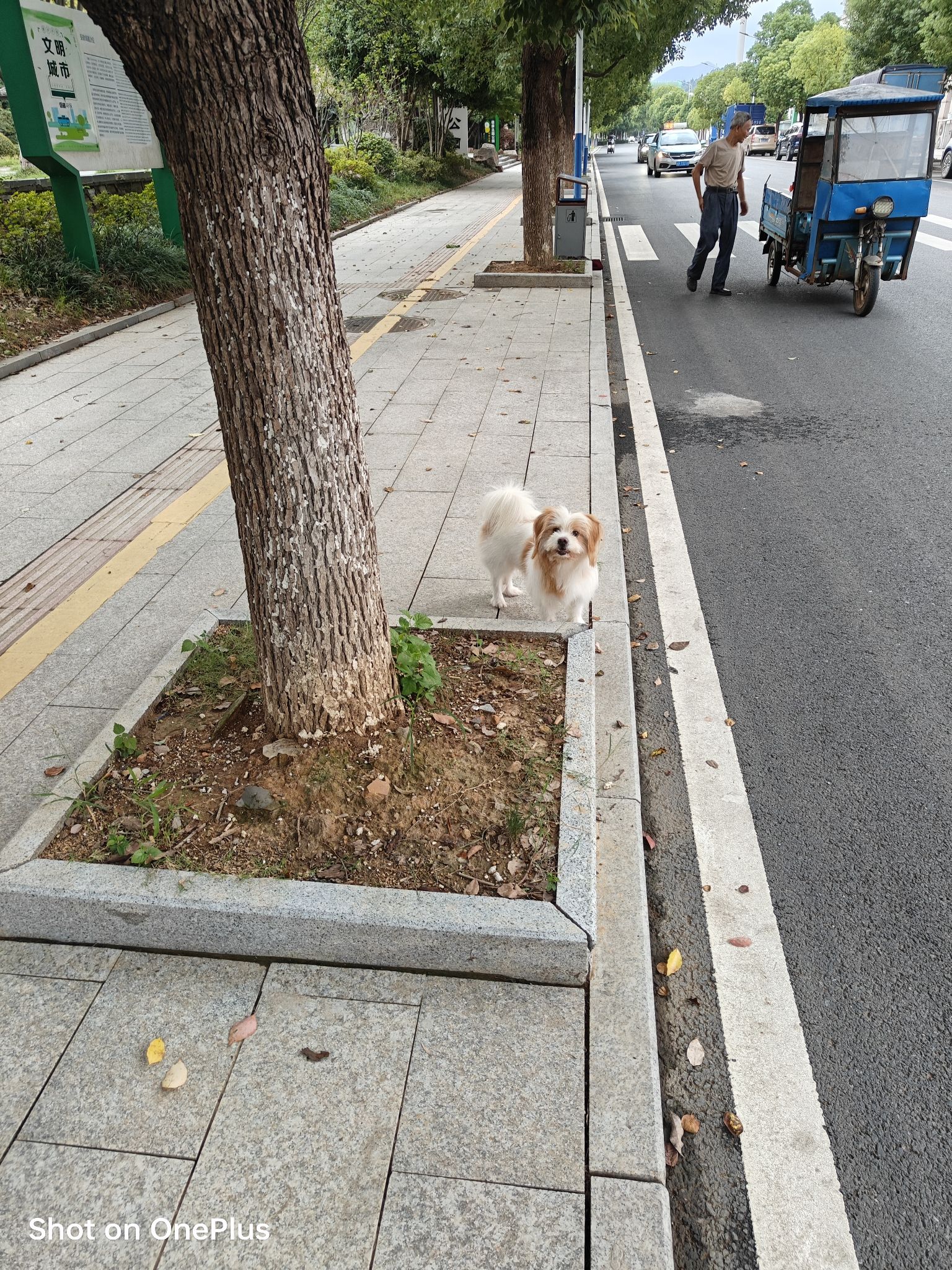 中滩公园旅行图片