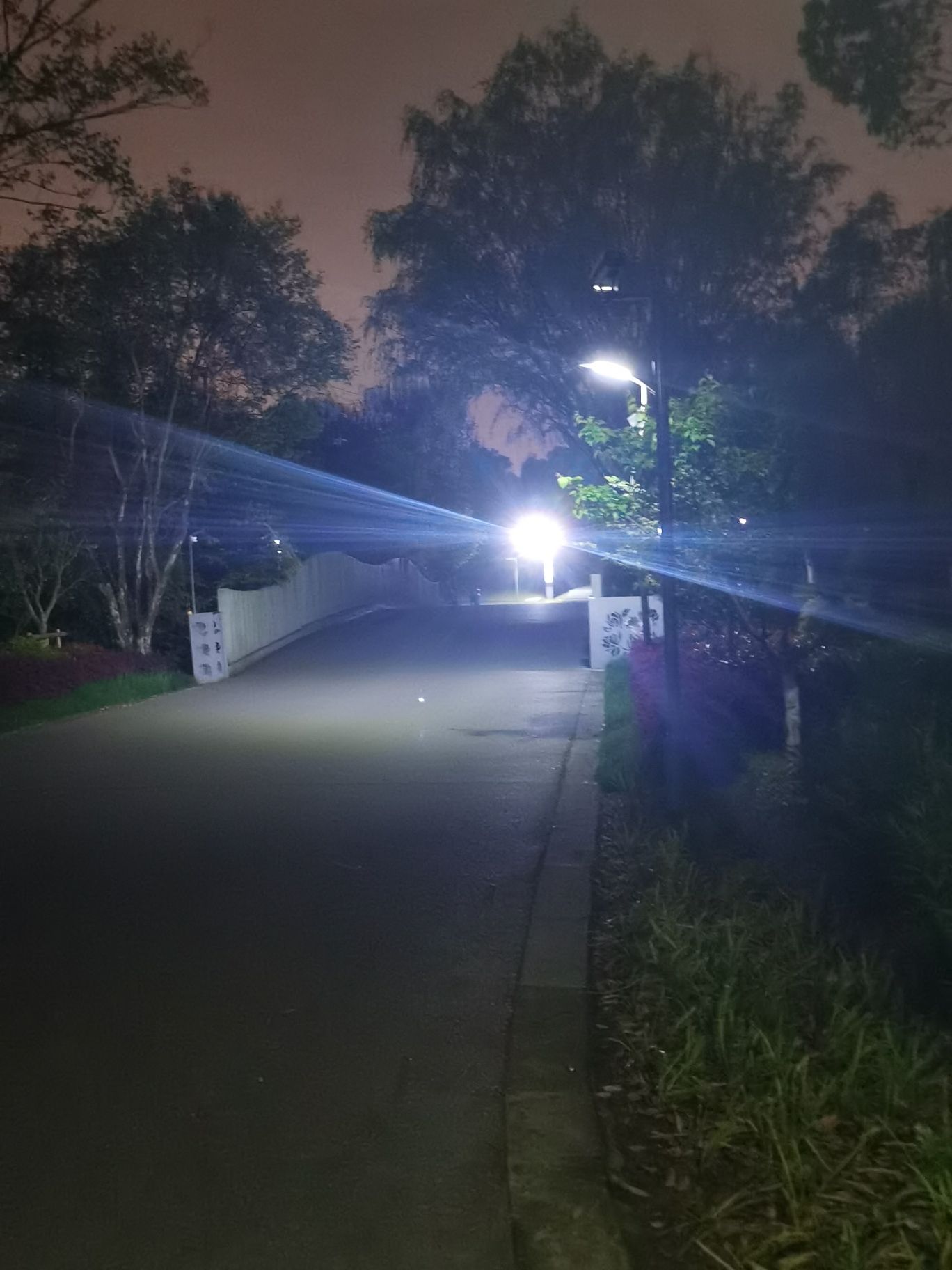 上海闵行文化公园旅行图片