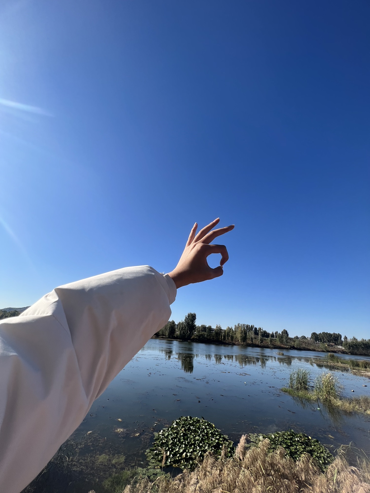 汶河国家湿地旅行图片