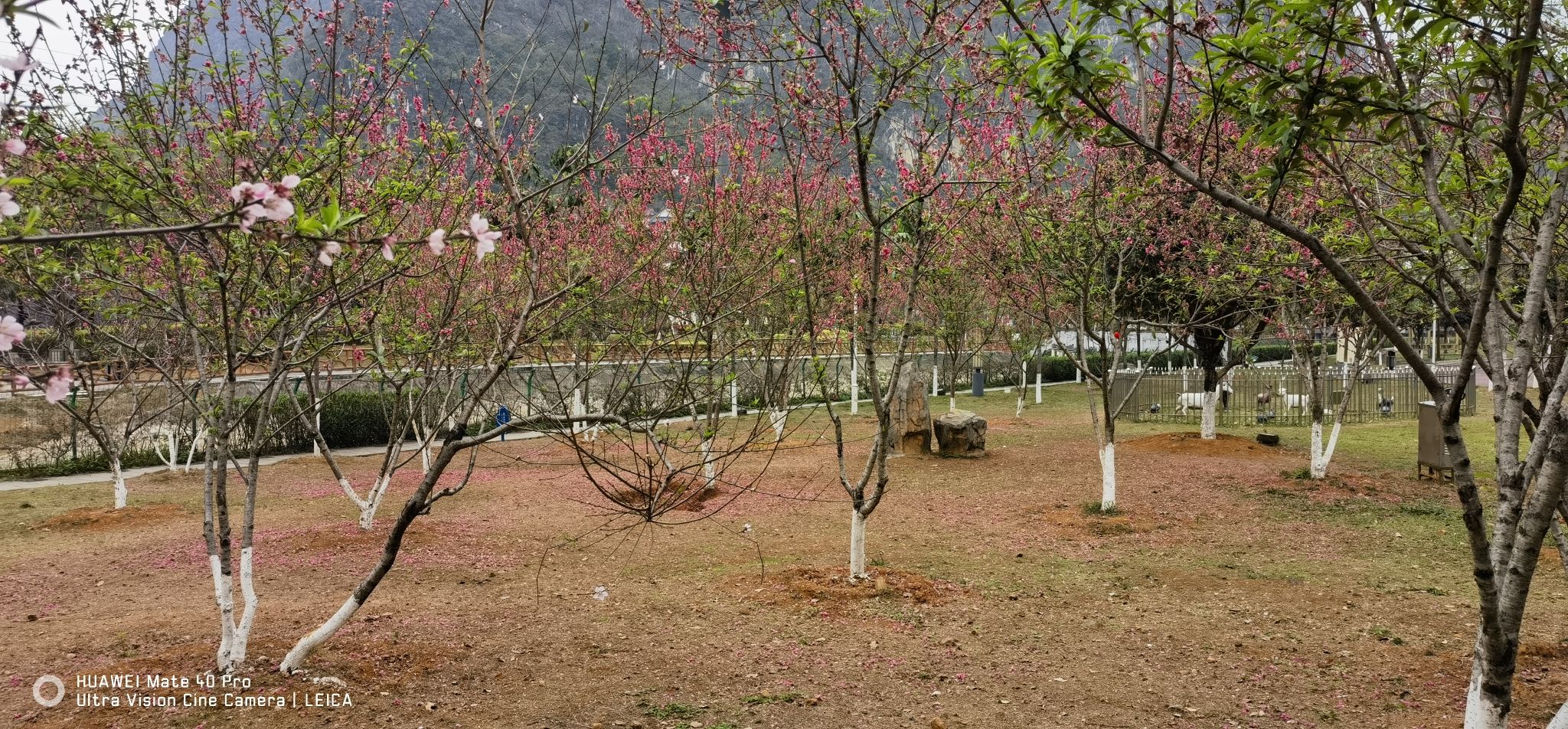 百才公园旅行图片