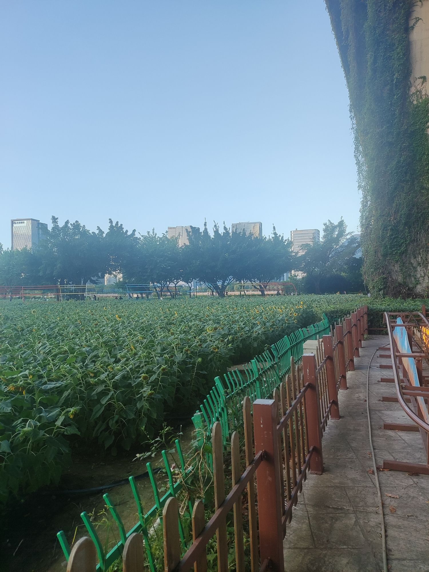 福州花海公园