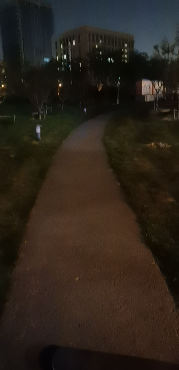 绿道公园旅行图片