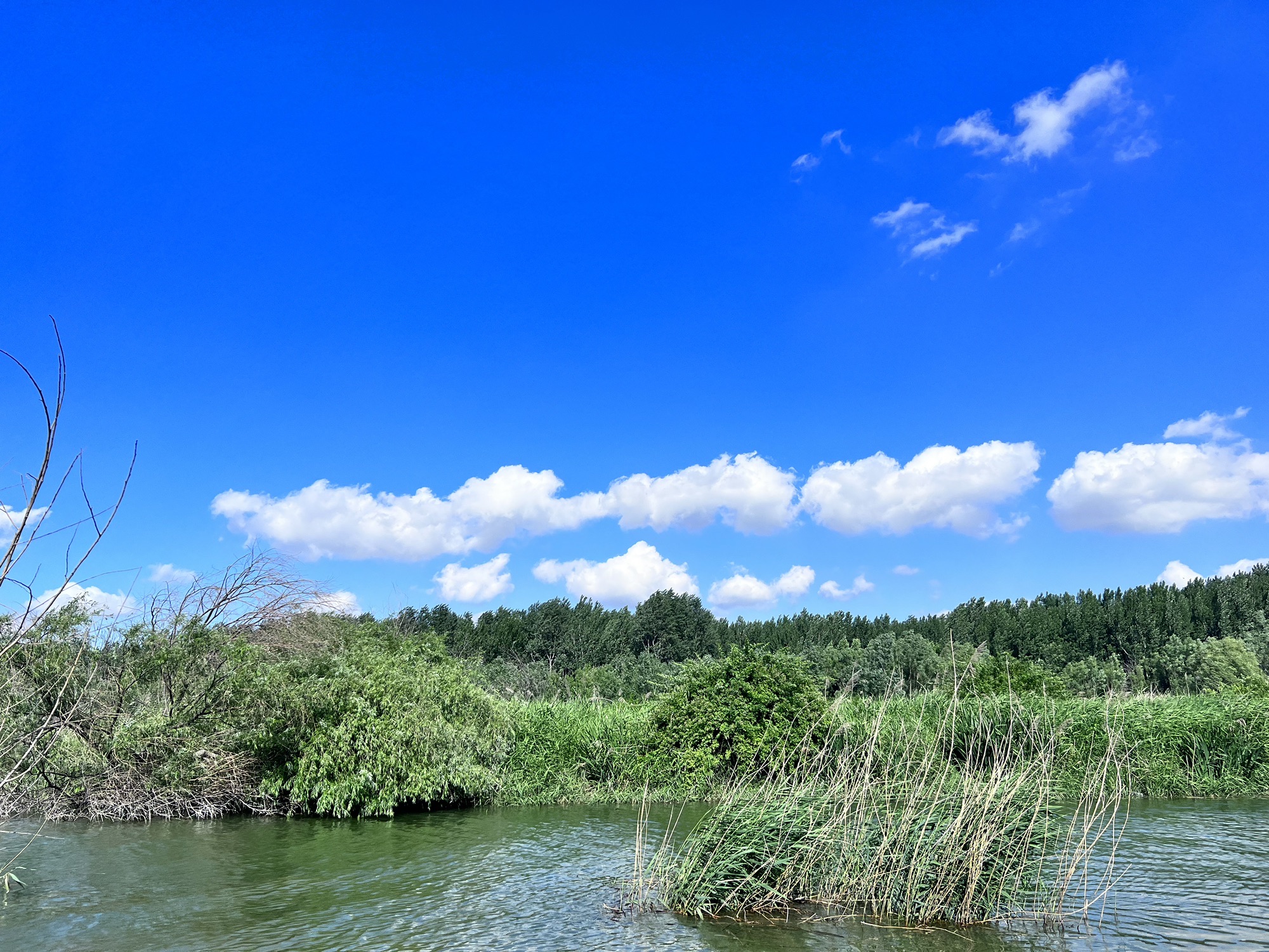 白浪河国家湿地公园旅行图片