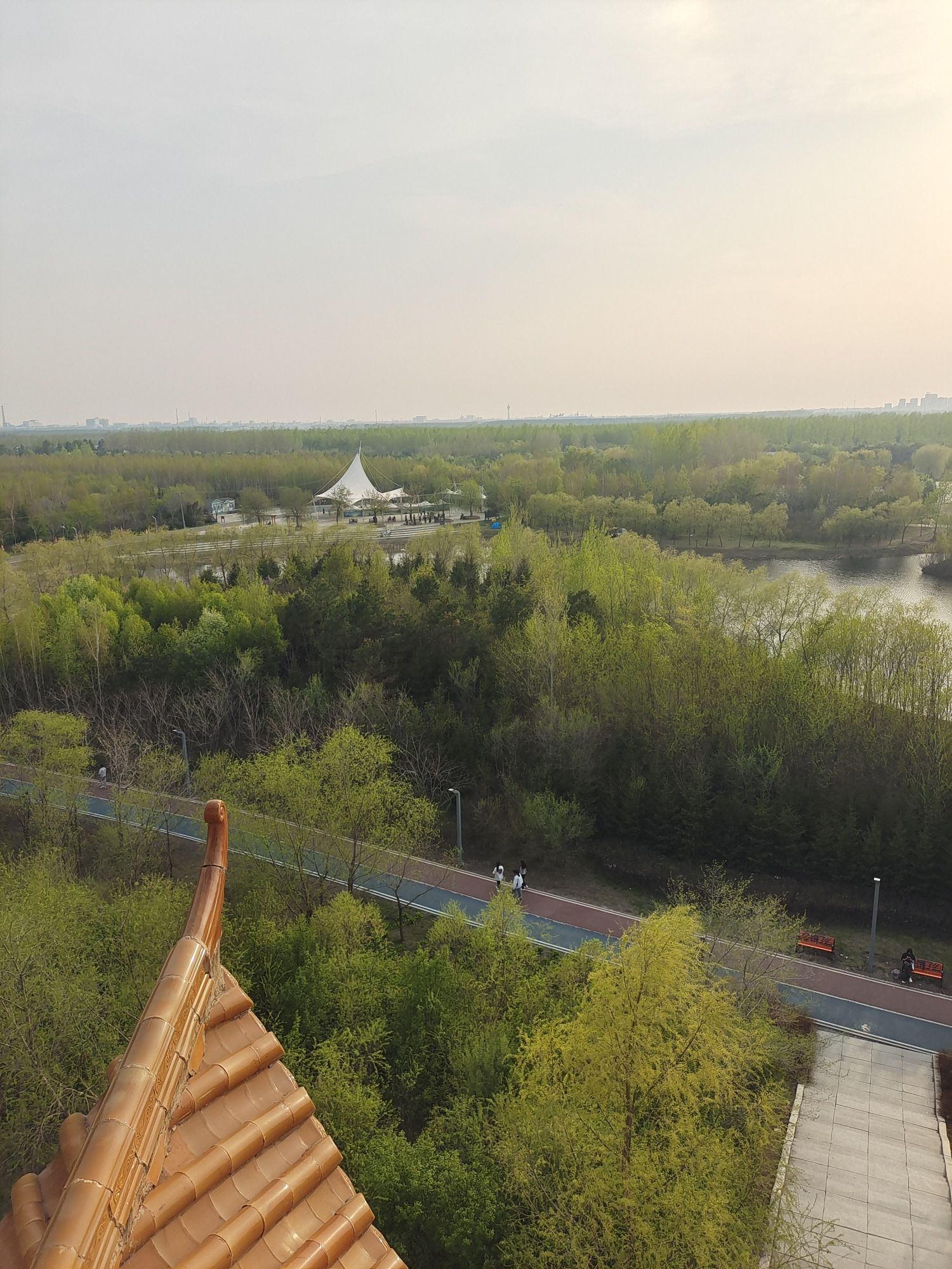 森林植物园
