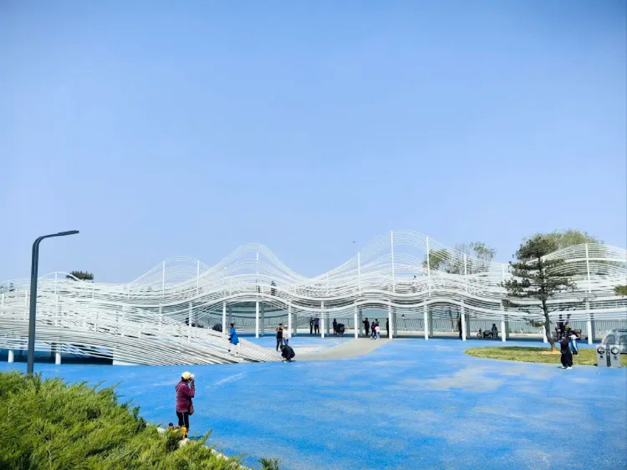 太平河公园旅行图片