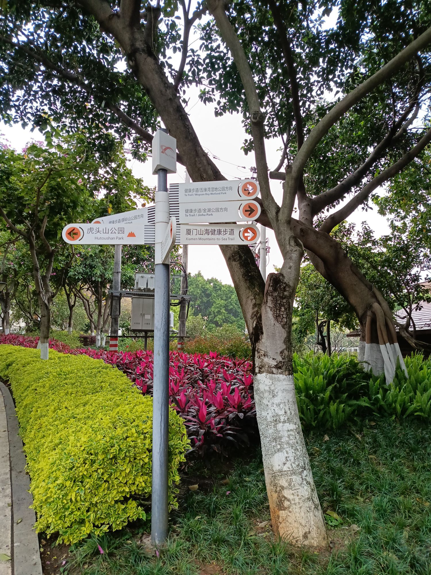 五缘湾旅行图片