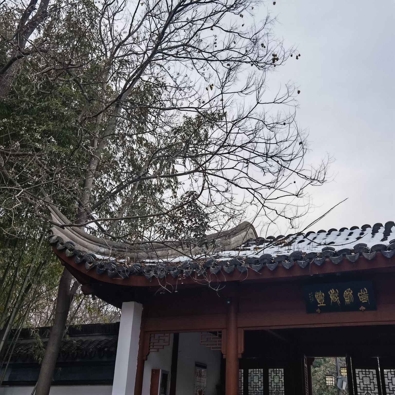 文峰公园旅行图片