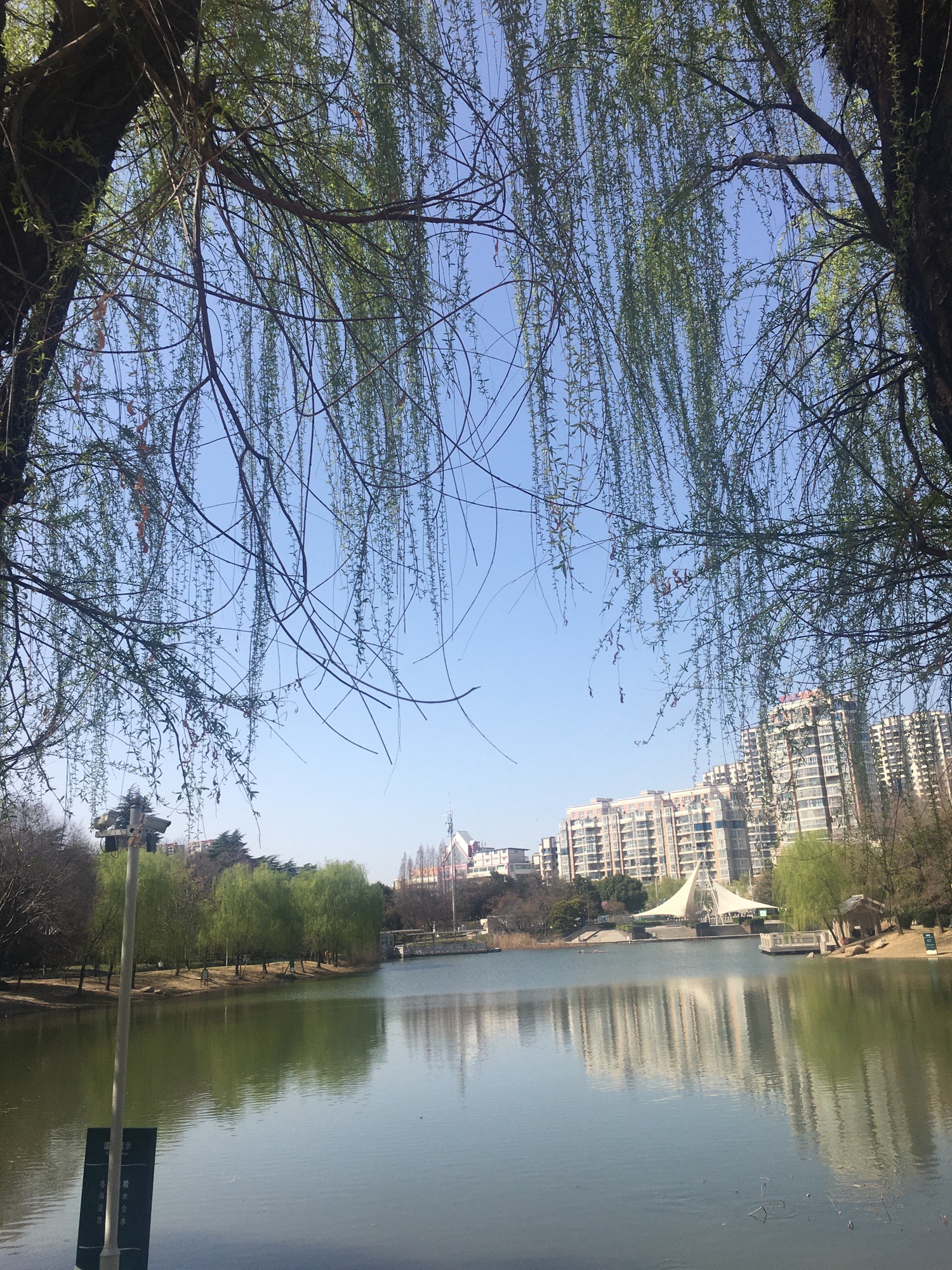 文峰公园旅行图片