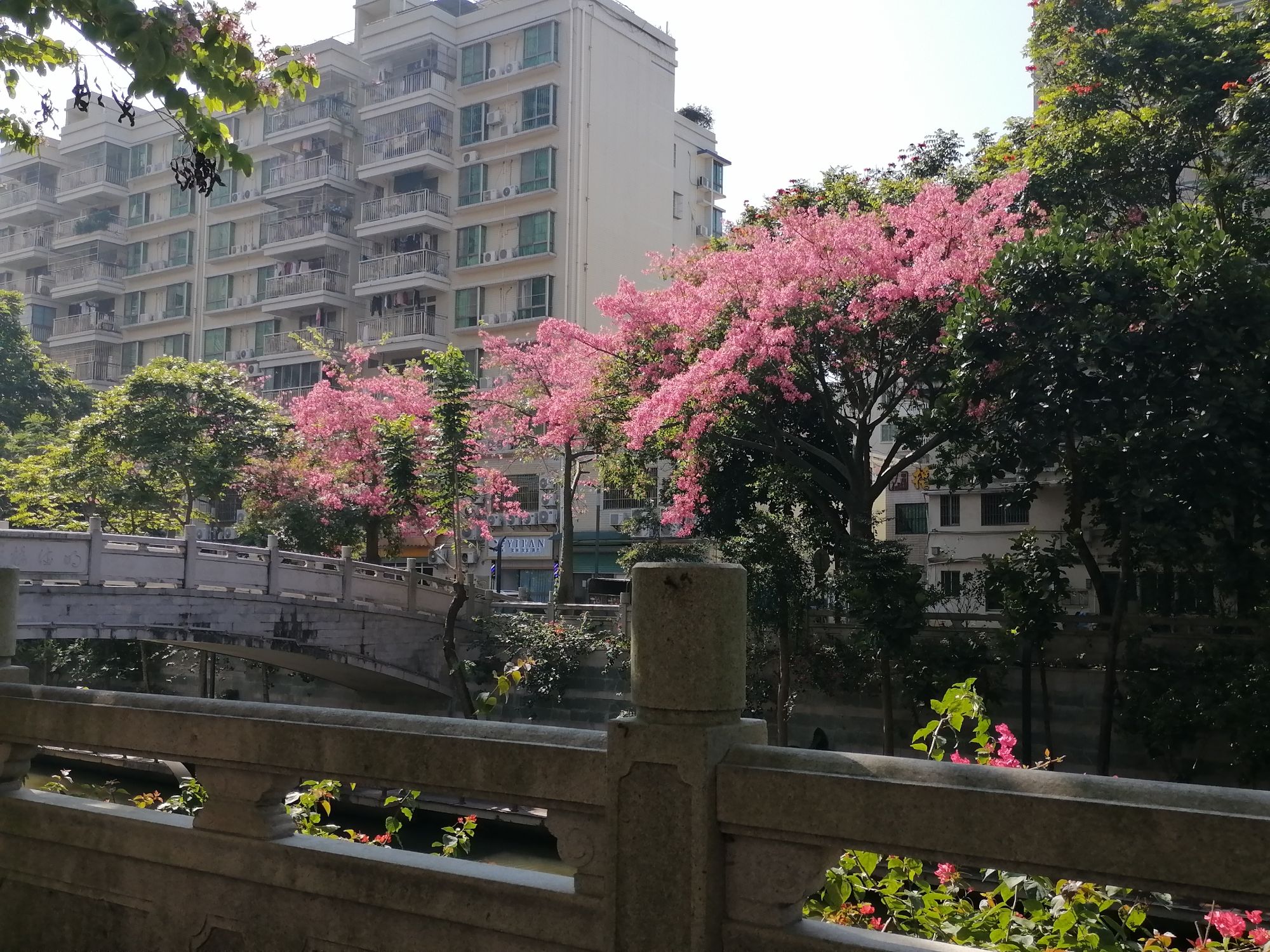 惠州金山河