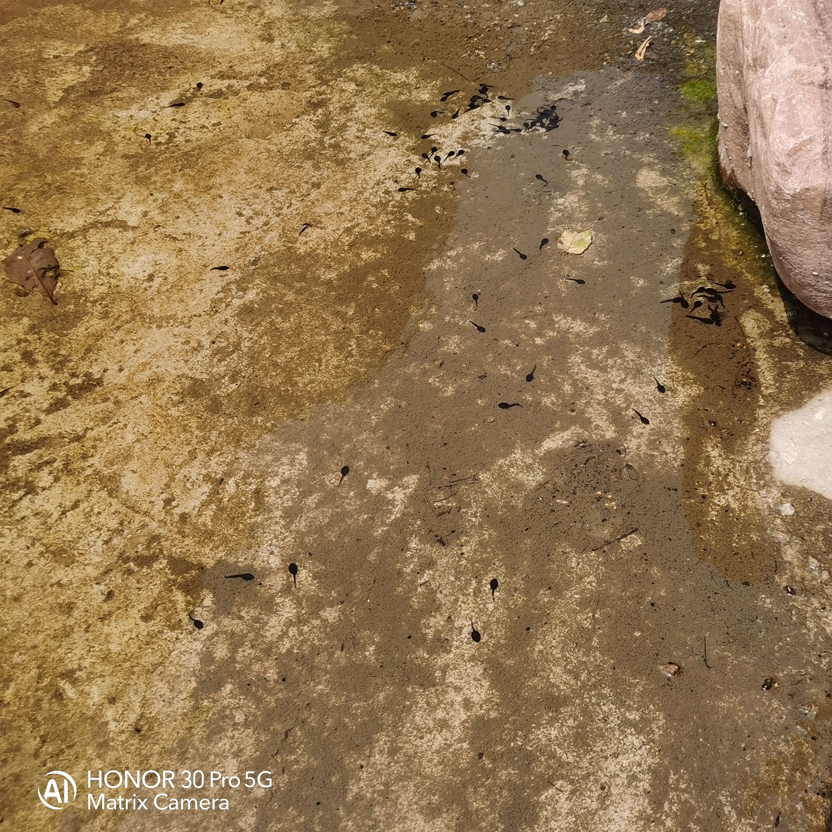 塔寺峪风景区旅行图片