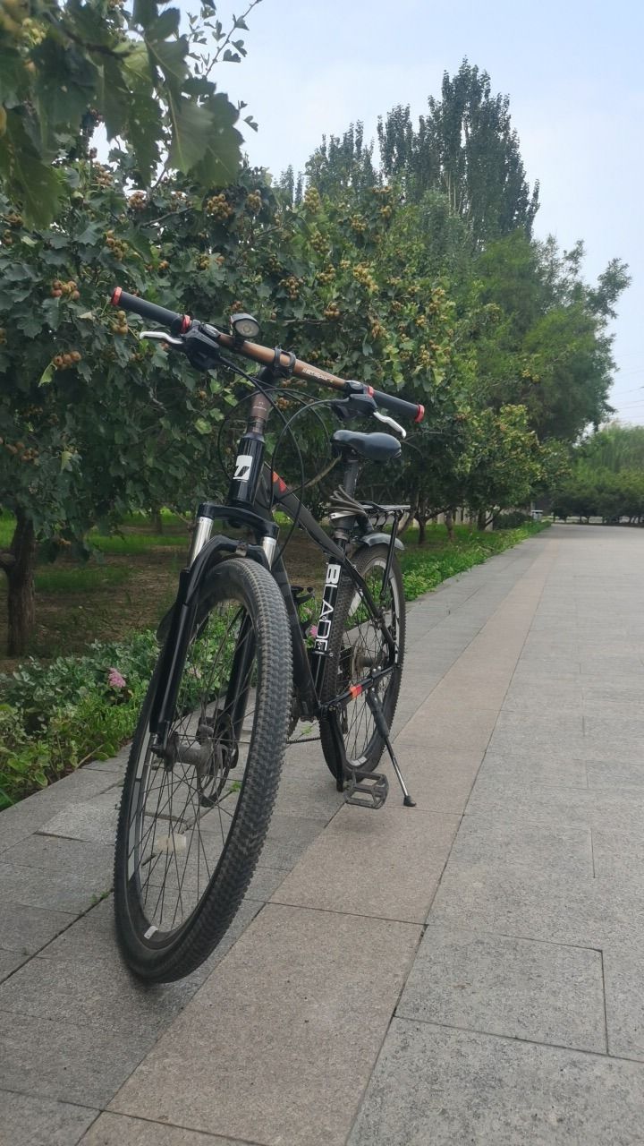 开发区龙湖公园旅行图片