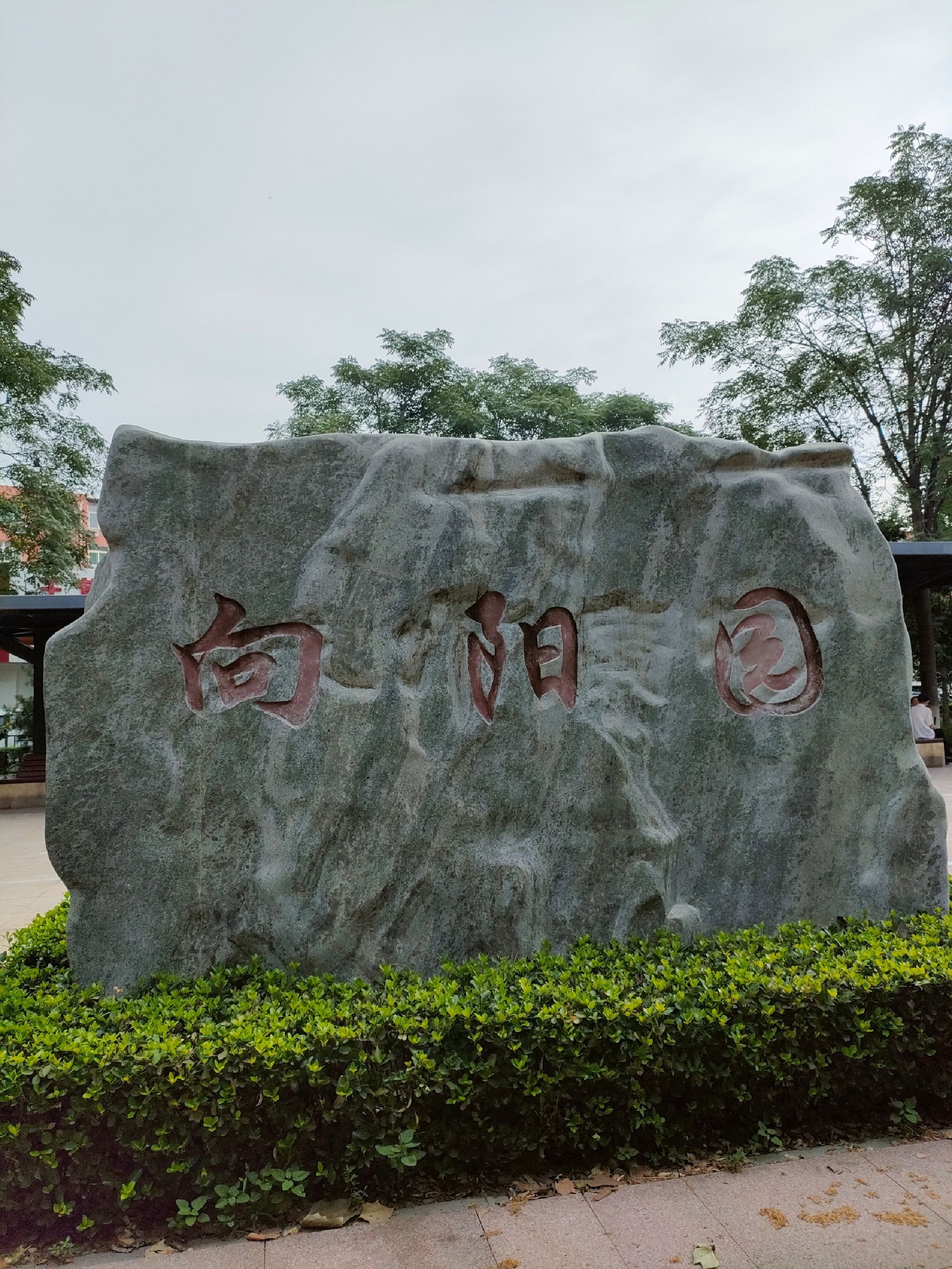 向阳园旅行图片