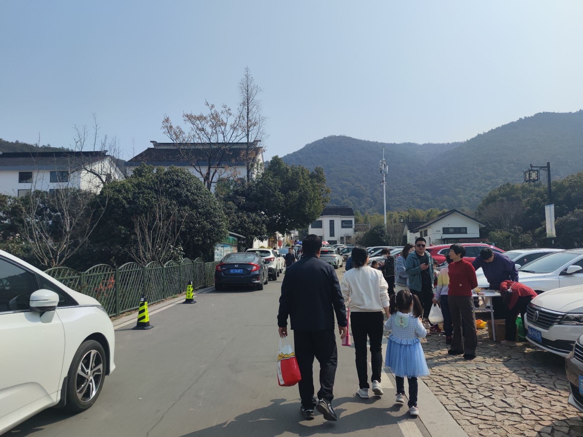 树山生态村