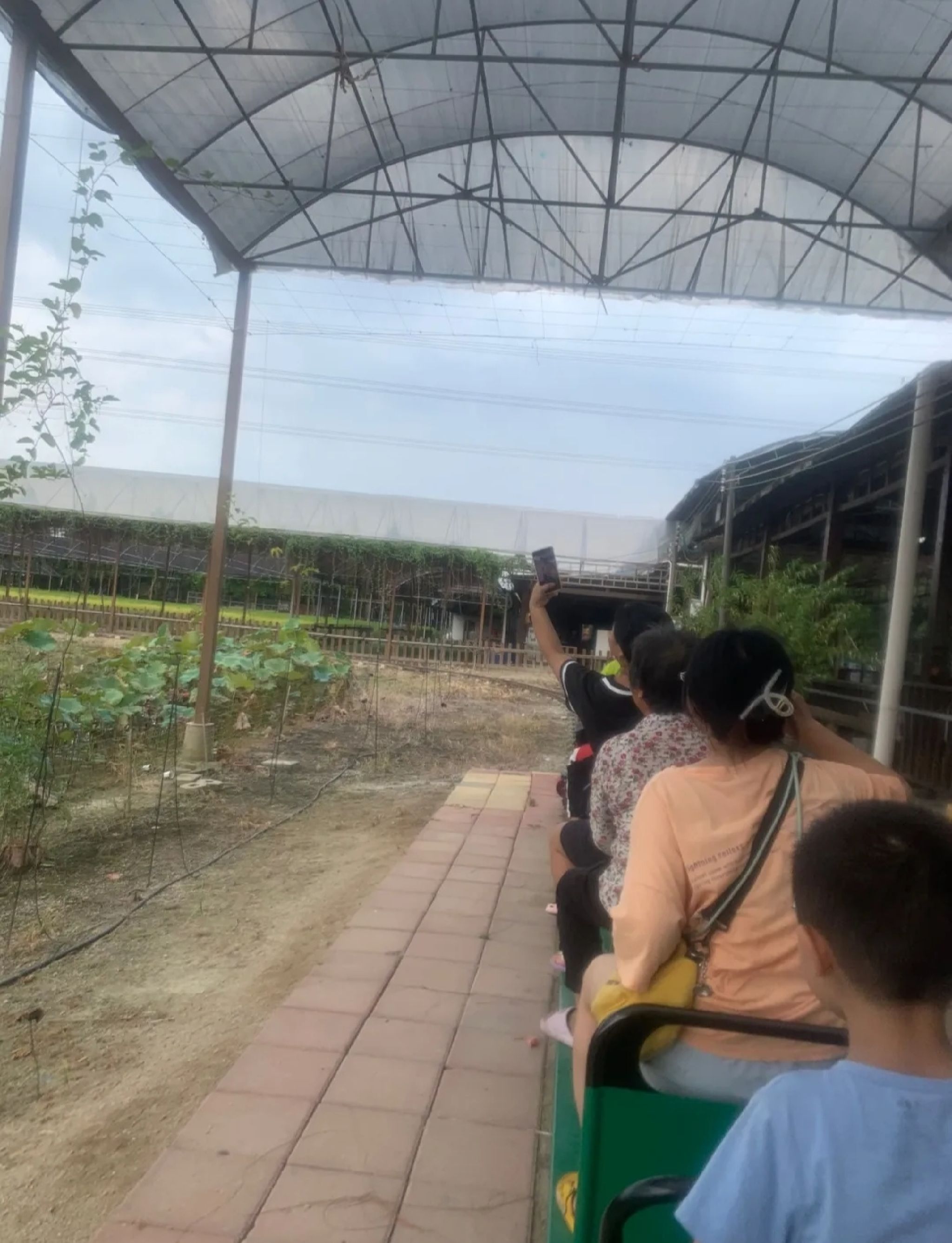 流溪湾丰华园旅行图片
