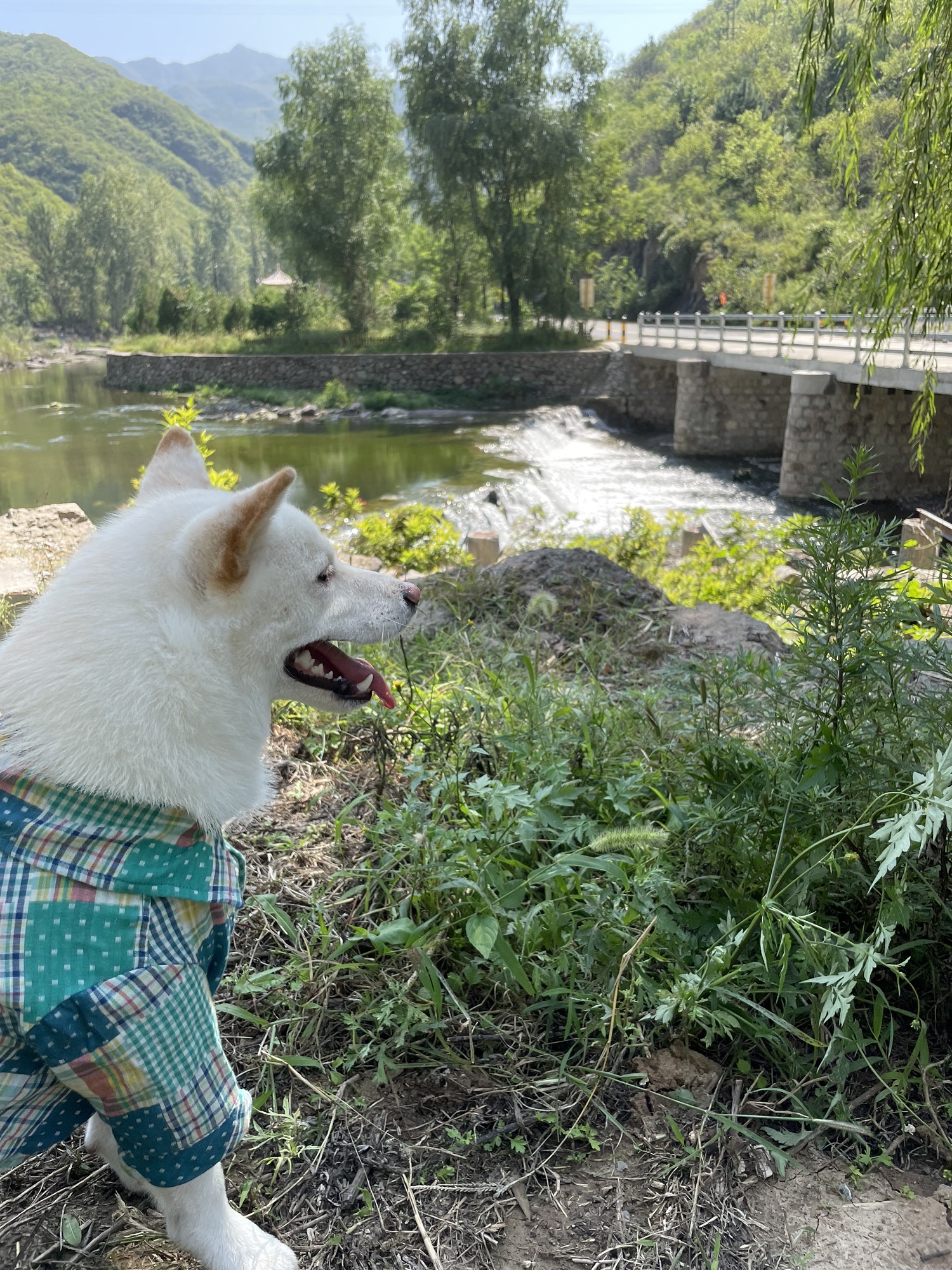 宝山八景之天门潭月旅行图片